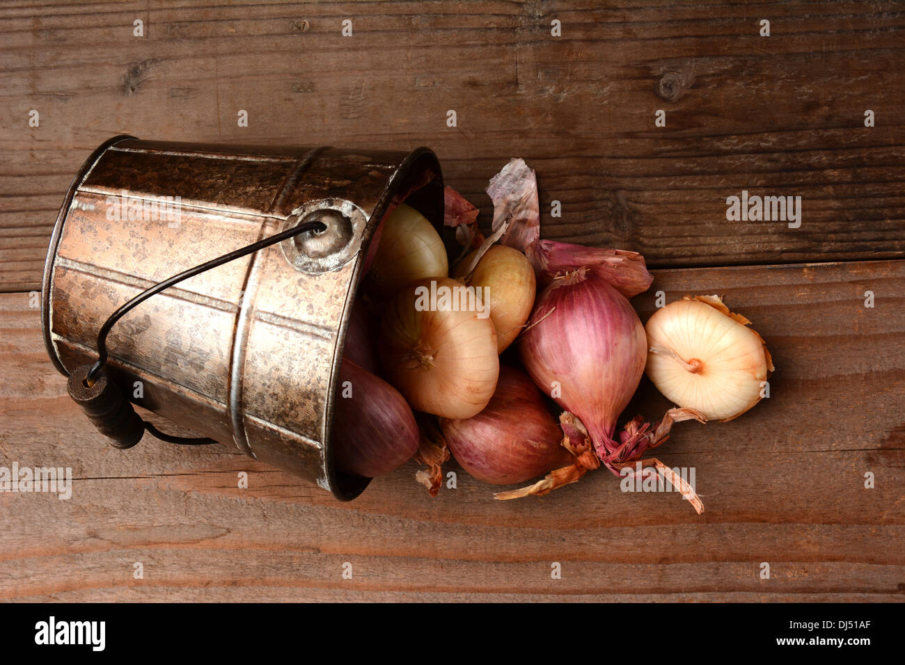 Vista aerea di Cipolle e scalogni fuoriuscita da un secchio su una tavola in legno rustico. Foto Stock