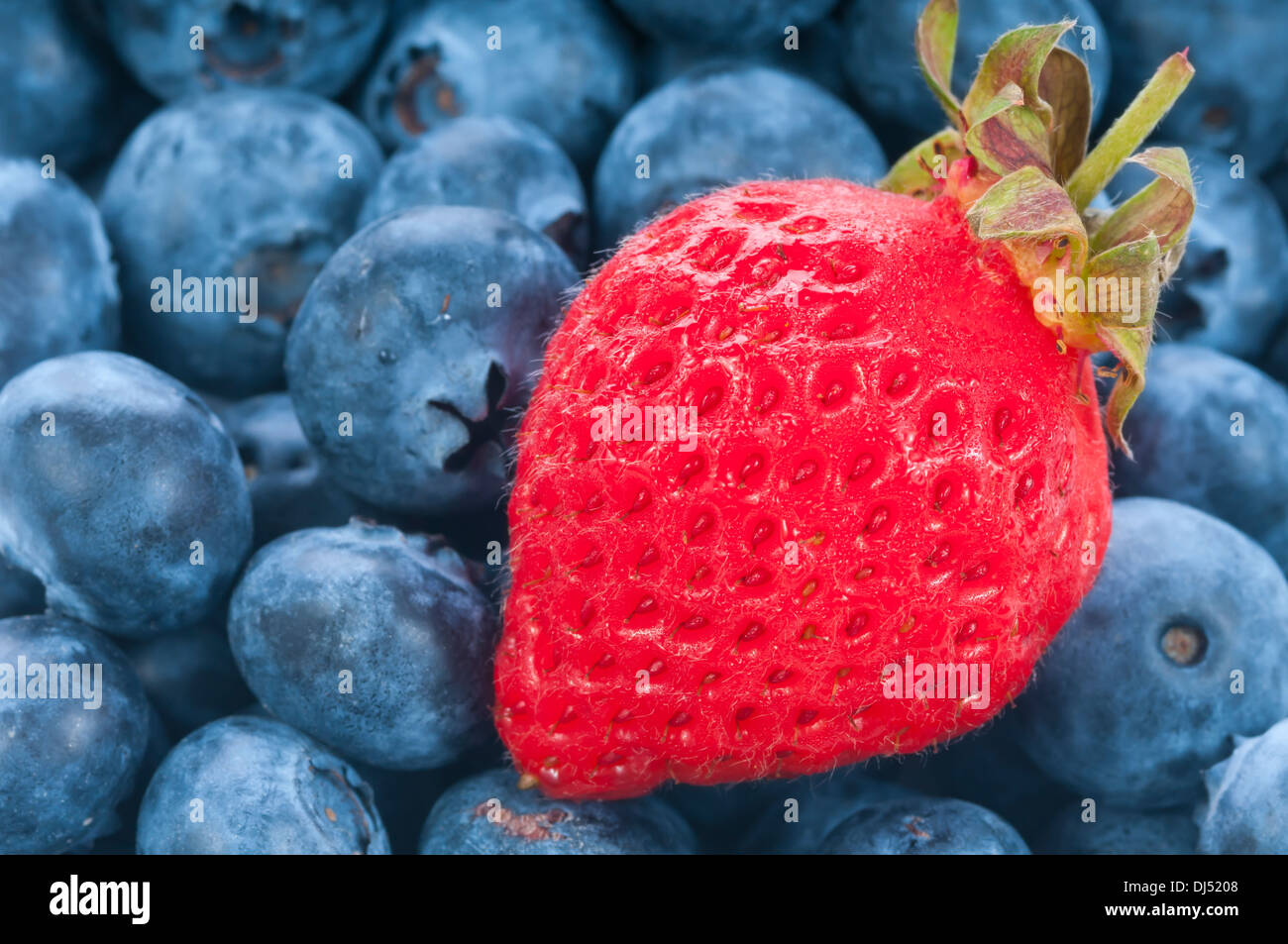 Fragole fresche con Blue Berry Foto Stock