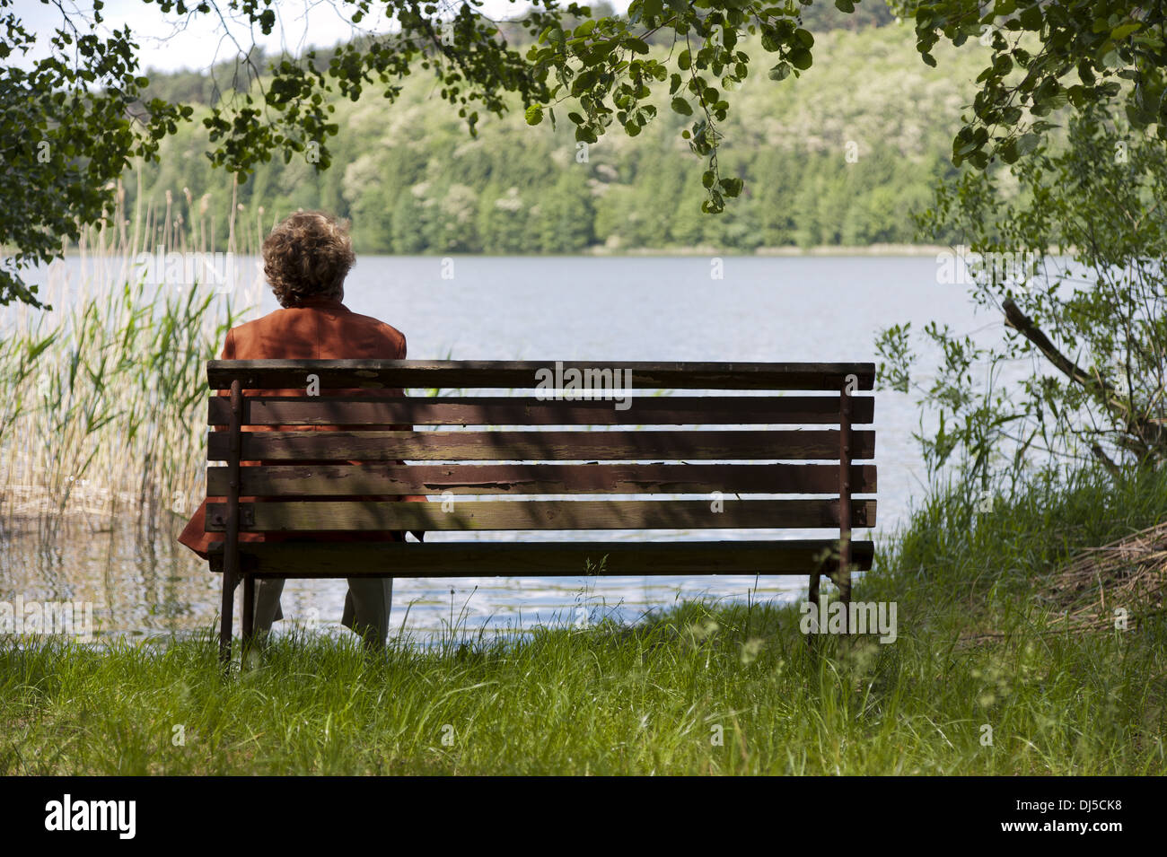 Titolare di pensione o di rendita su una panca di legno al lago Foto Stock