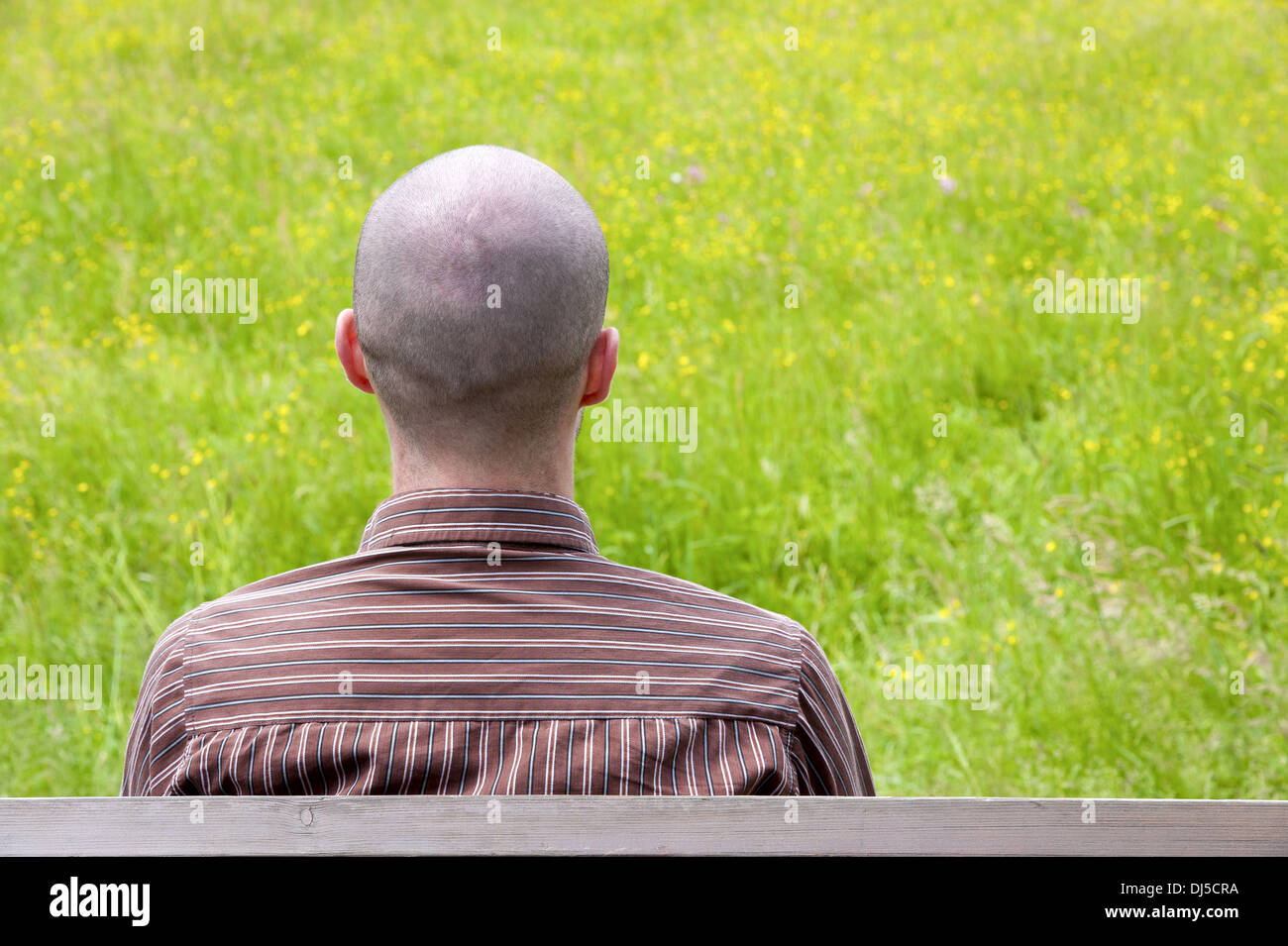 Vista posteriore di un uomo con una testa calva Foto Stock