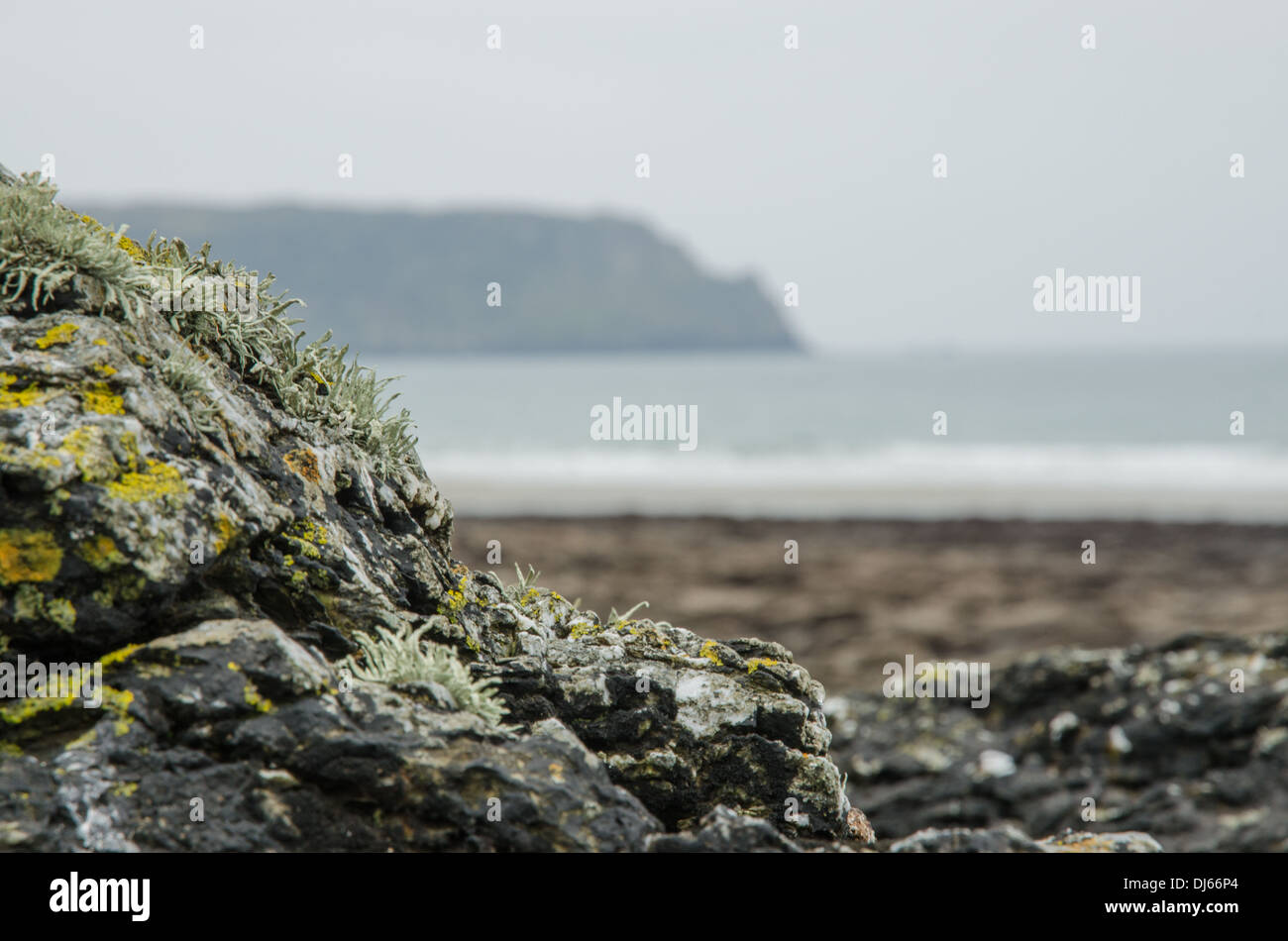 Rocce e licheni seguendo il modello naturale dei NSI promontorio dietro (Roseland Penisola). Foto Stock