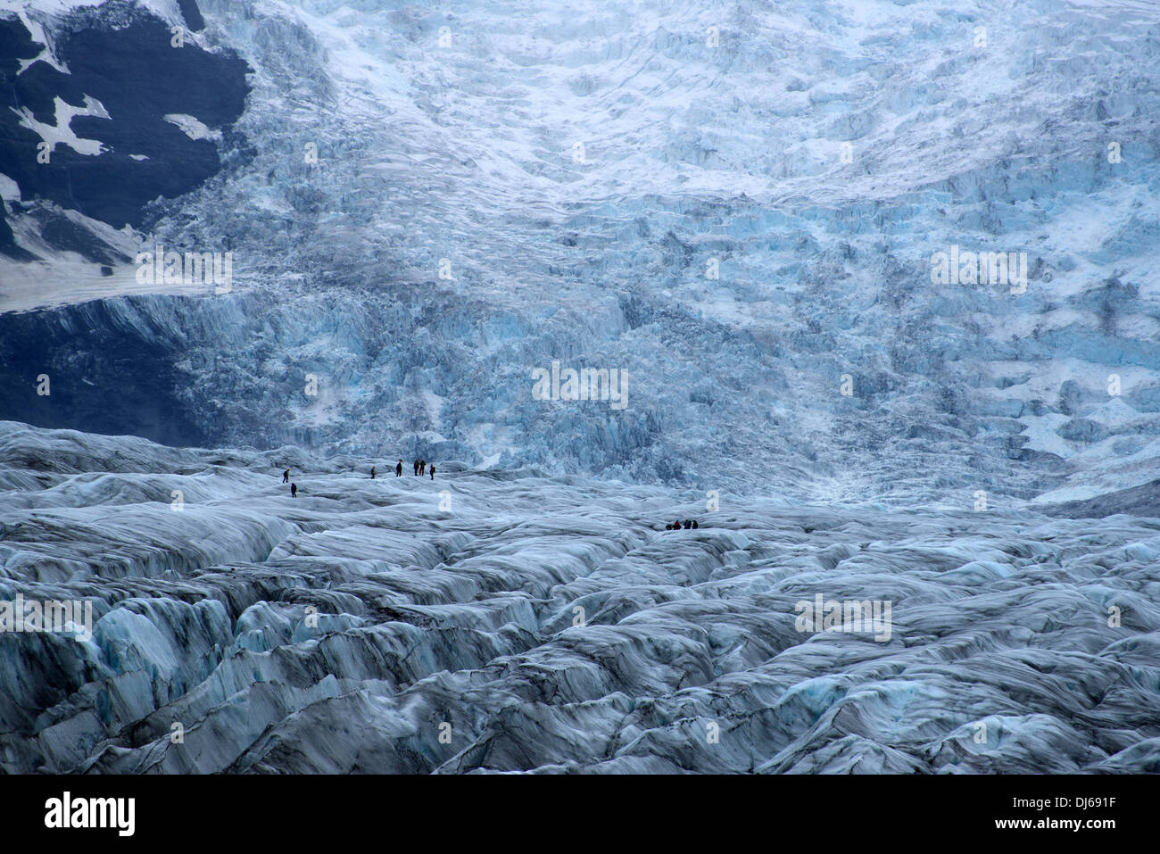 Escursionismo su ghiacciaio Svinafellsjokull, Skaftafell Islanda Foto Stock