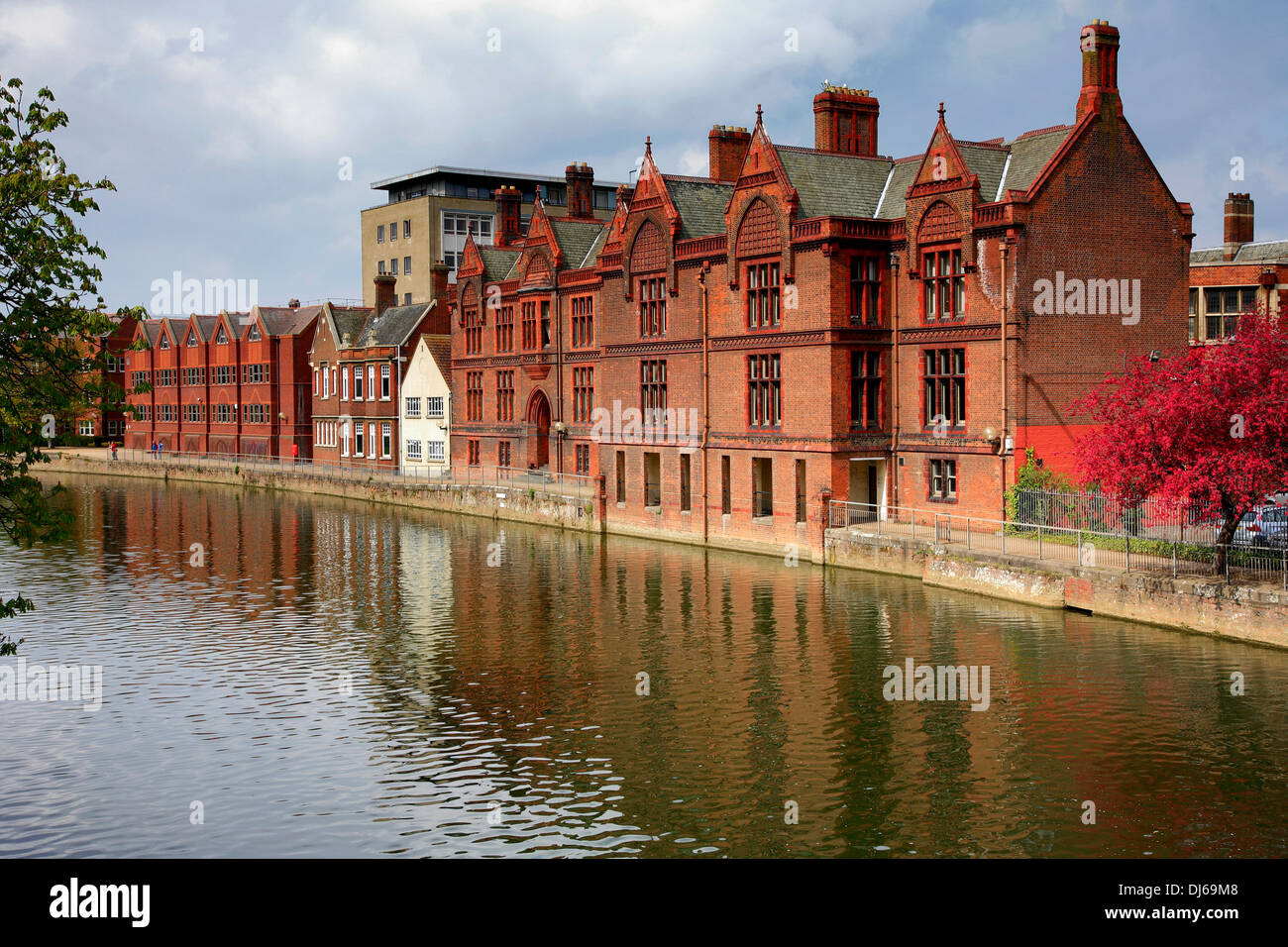 Il Terrapieno, Fiume Great Ouse, Bedford città; Bedfordshire County, England, Regno Unito Foto Stock