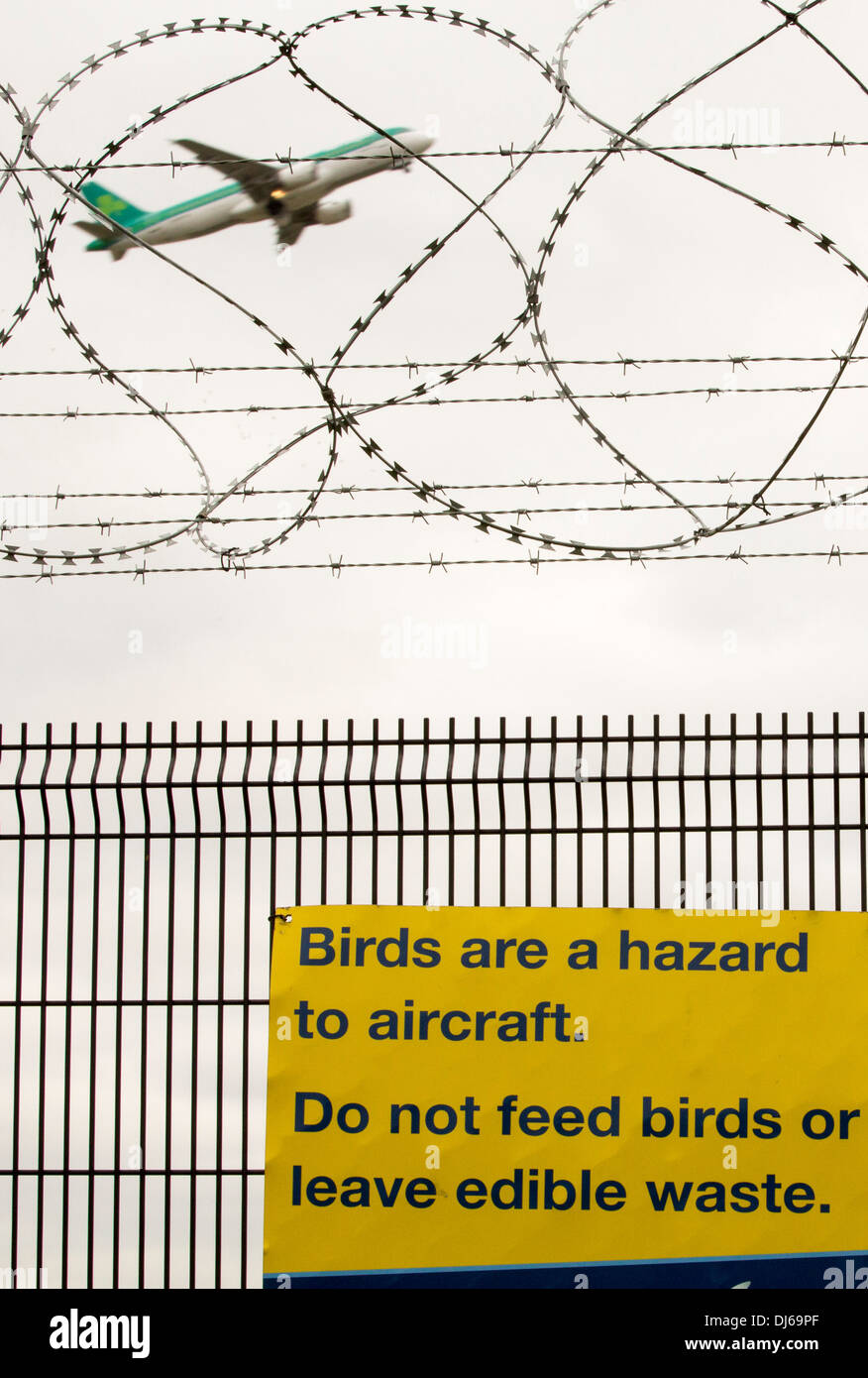 Indicazioni circa il bird scioperi su la recinzione di sicurezza all'Aeroporto di Manchester, UK. Foto Stock