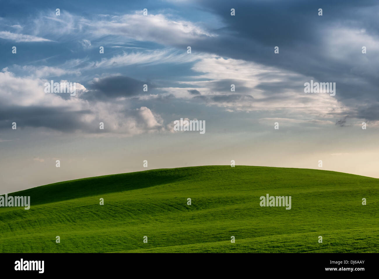 Erba verde collina contro il cielo nuvoloso. Foto Stock