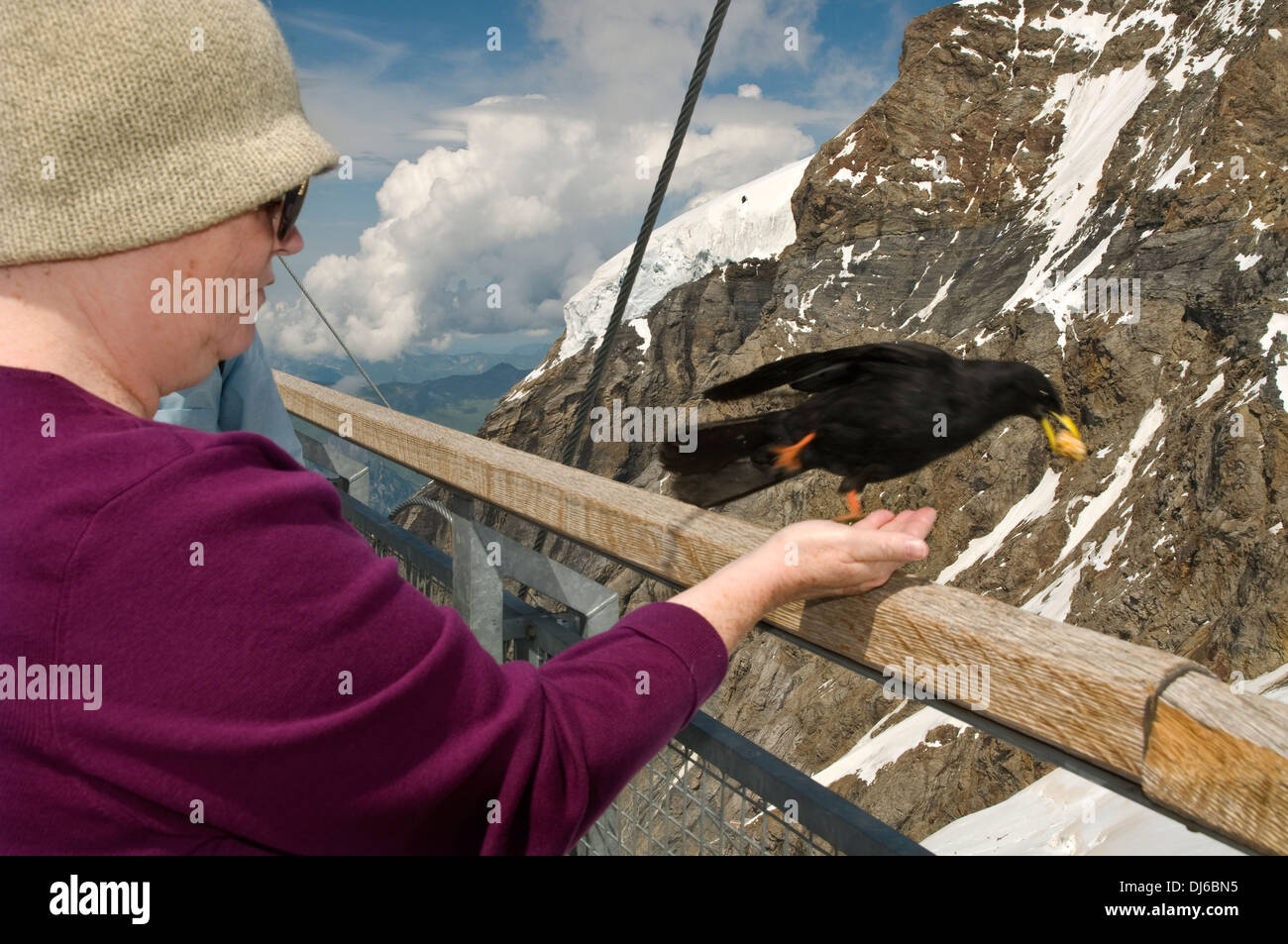 L'Europa. La Svizzera, Canton Berna. Oberland Bernese, Interlaken. Jungfraujoch. Doles in cima all'osservatorio Sphinx Foto Stock