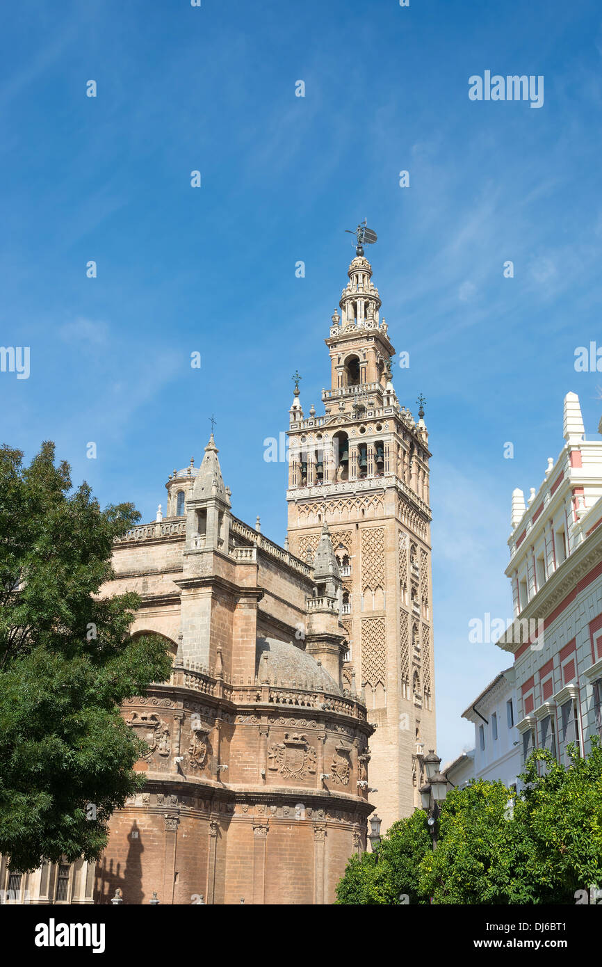 Vista della cattedrale nel centro di Siviglia con dettaglio della torre Giralda. Foto Stock