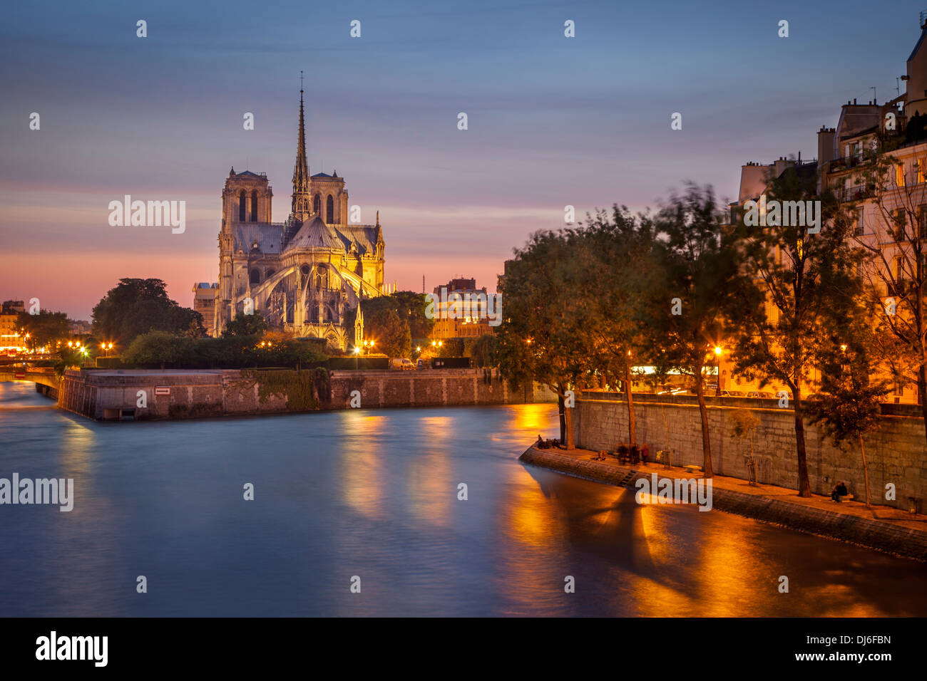 Cattedrale di Notre Dame lungo il Fiume Senna, Parigi Francia Foto Stock