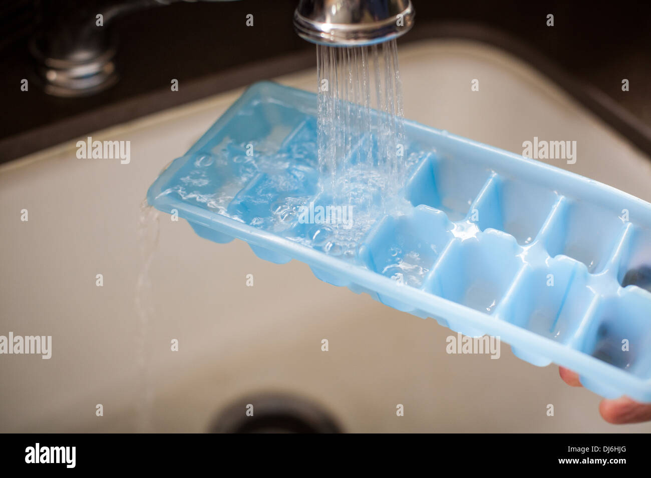 Un cubetto di ghiaccio vassoio essendo riempito con acqua al di sotto del lavello di una cucina rubinetto. Foto Stock