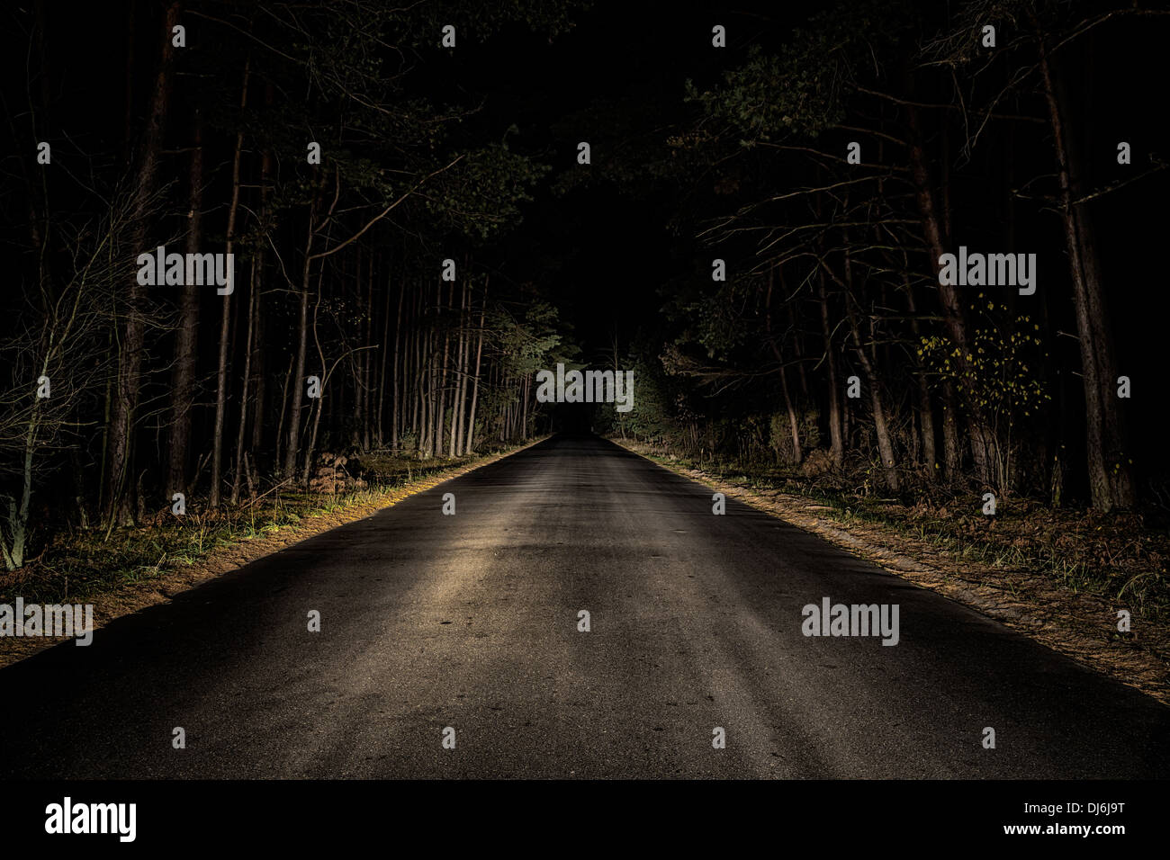 Strada di notte sulla foresta scura. Foto Stock