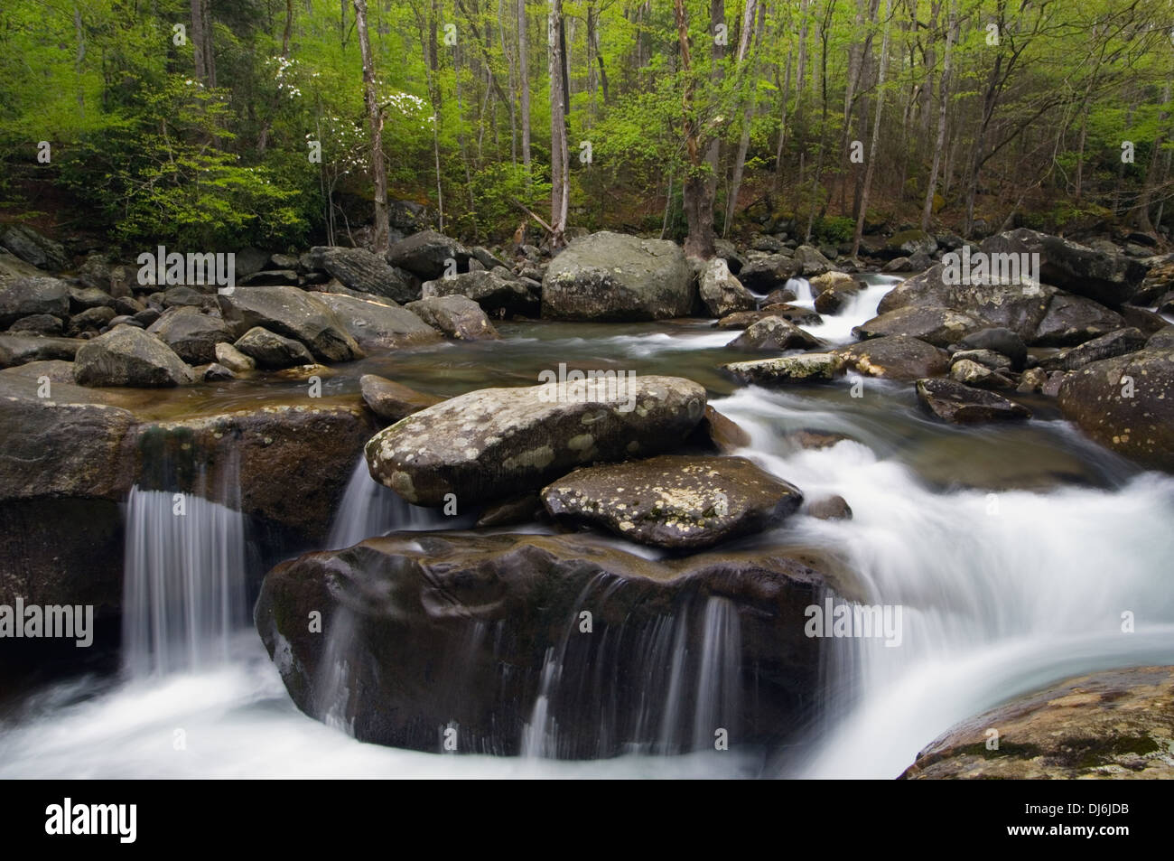 Polo Centrale della Little Pigeon River nel Parco Nazionale di Great Smoky Mountains in Tennessee Foto Stock