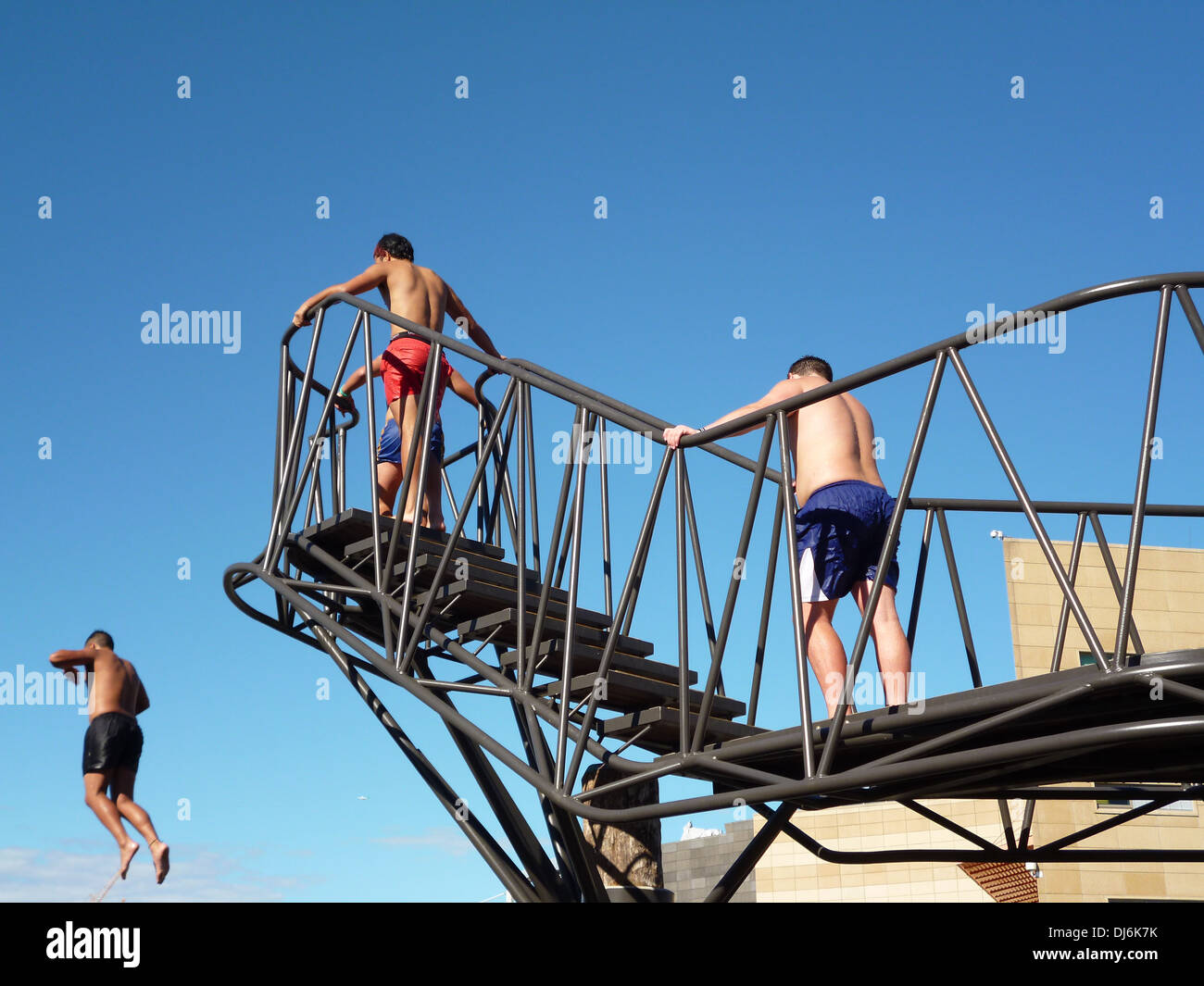 Kids salta fuori da una piattaforma a nuotare nel porto di Wellington, Nuova Zelanda Foto Stock