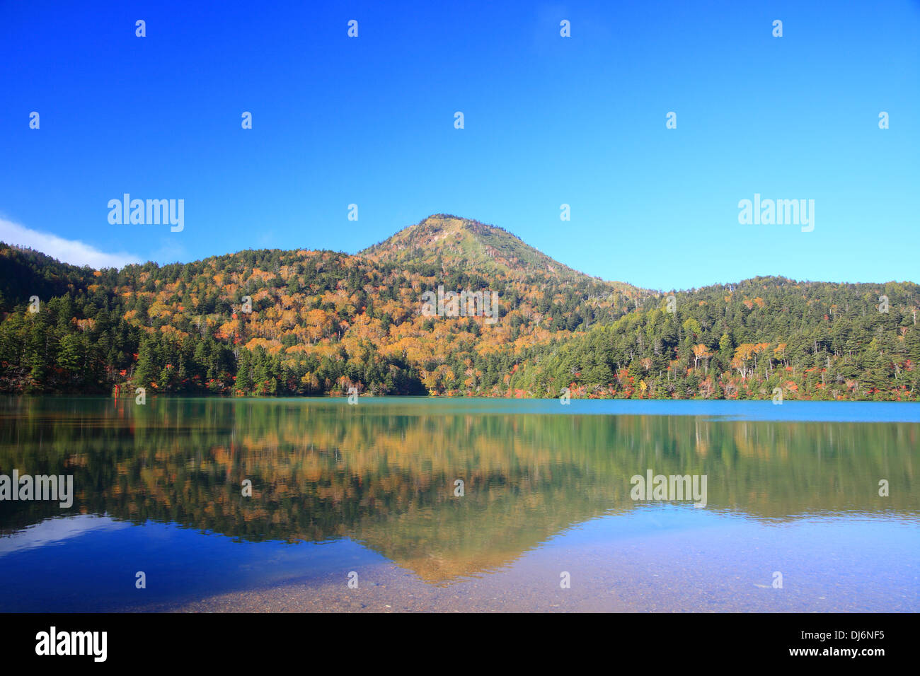 Montagna e stagno in autunno, altopiano di Shiga, Nagano, Giappone Foto Stock