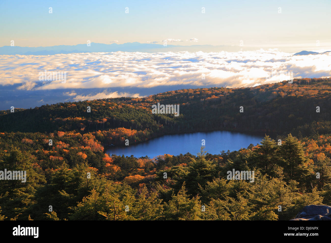 Stagno nella foresta, altopiano Yachiho Shirakoma pond, Nagano, Giappone Foto Stock