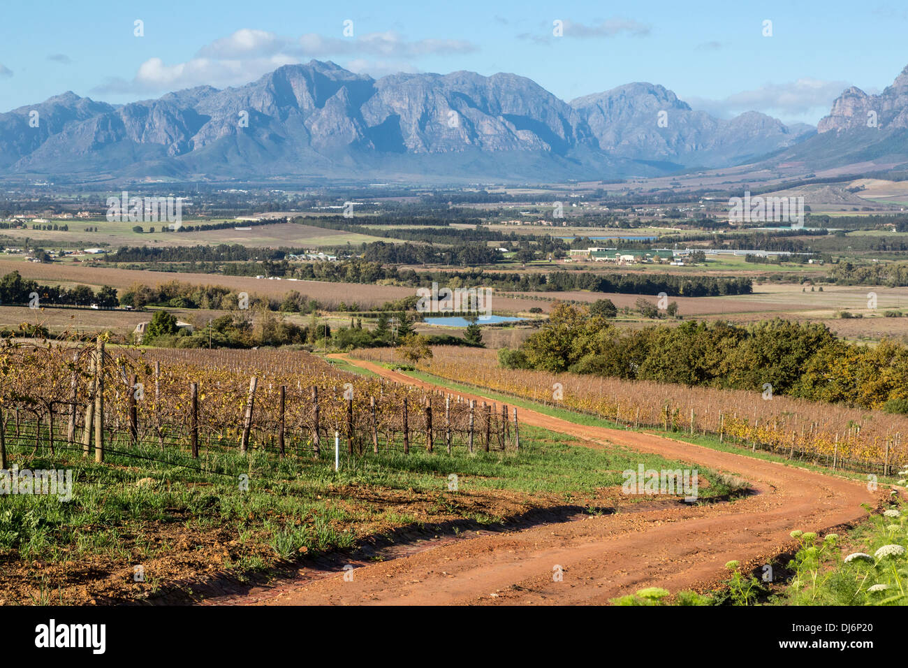 Sud Africa, Paarl area, nei pressi di Città del Capo. Paesaggio panoramico. Vigneto in inverno sulla sinistra. Foto Stock