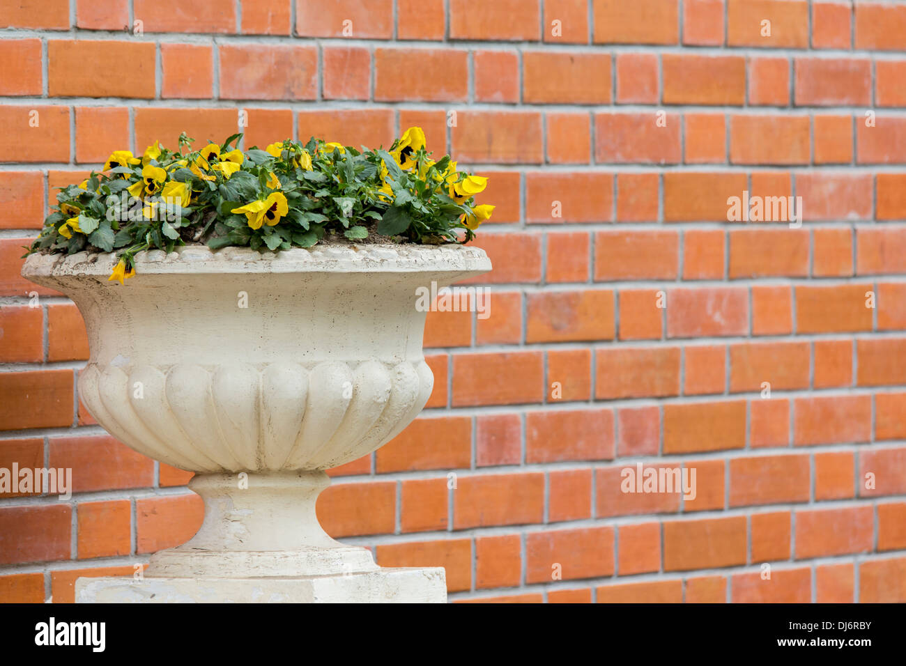 Vaso di pietre immagini e fotografie stock ad alta risoluzione - Alamy