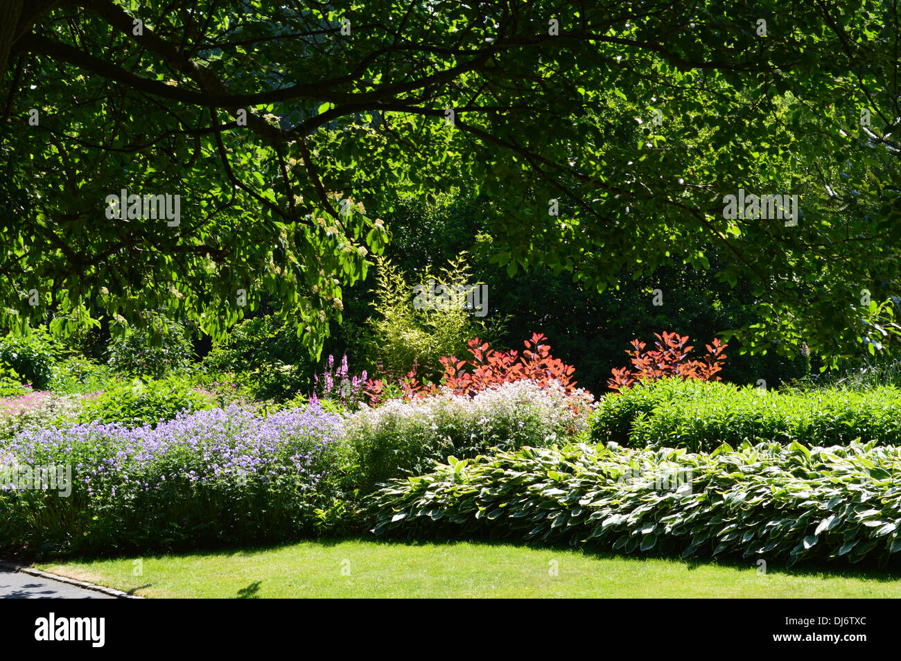 Un meraviglioso giardino con alberi in piena fioritura nel parco di Bradford Foto Stock