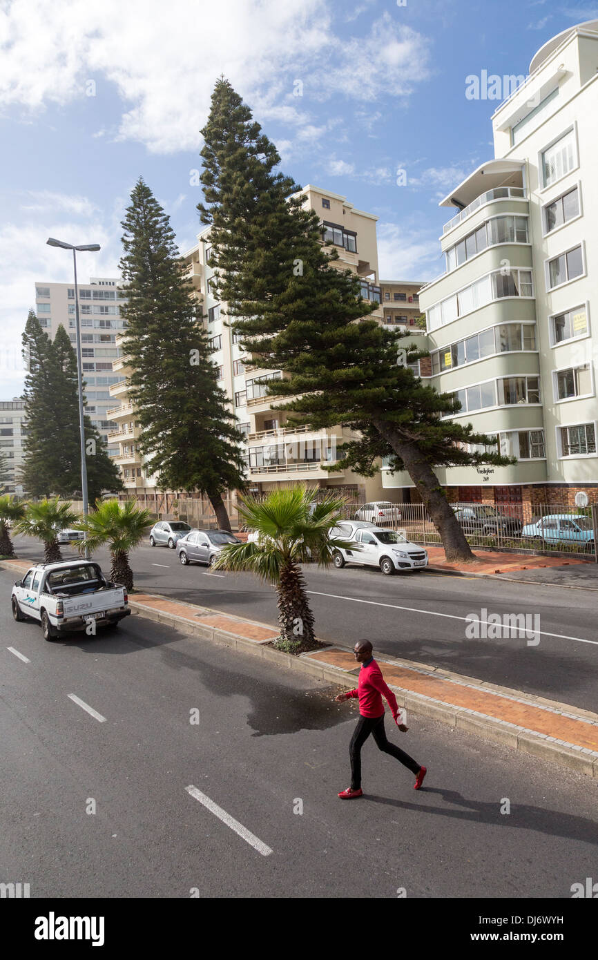 Sud Africa, Cape Town. Alberi Seaward piegati dal vento Bouncing off ad alta edifici di appartamenti mostra Sea Point è un luogo ventoso. Foto Stock