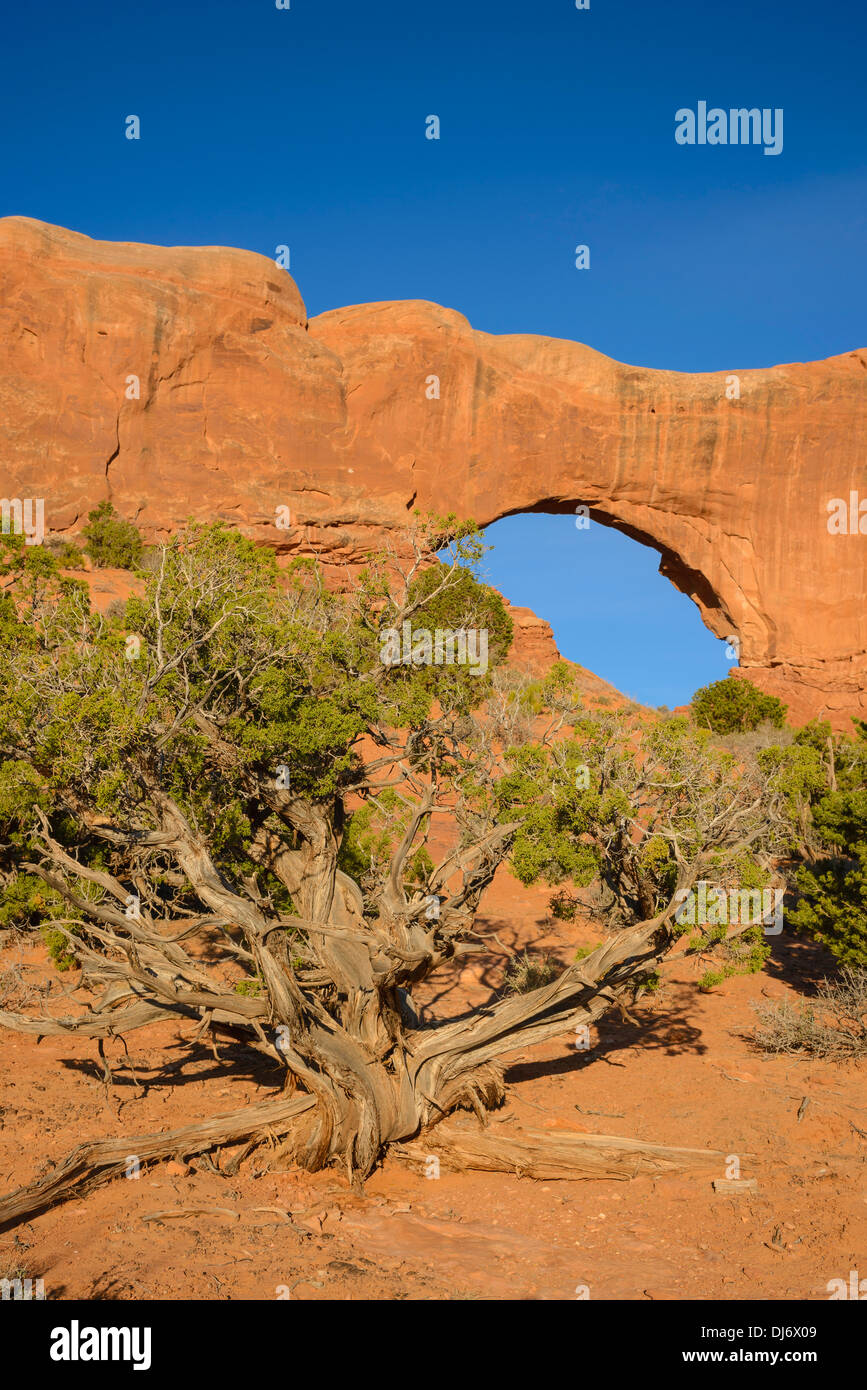 Finestra del nord, il Parco Nazionale di Arches, Utah, Stati Uniti d'America Foto Stock