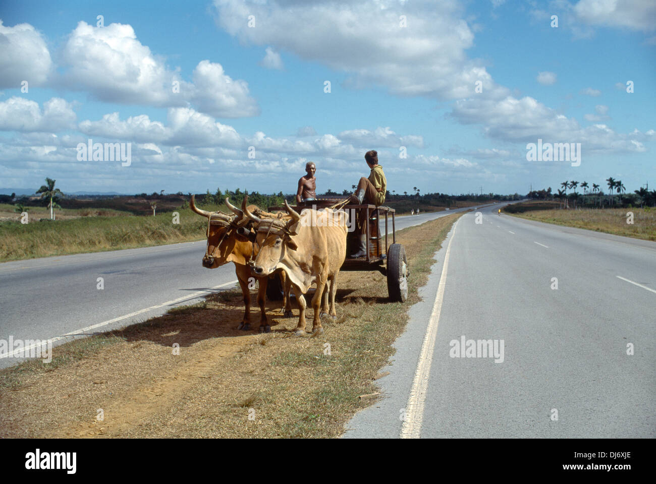 Pinar Del Rio Cuba buoi Carrello su sterrato centrale di prenotazione tra strade deserte Foto Stock