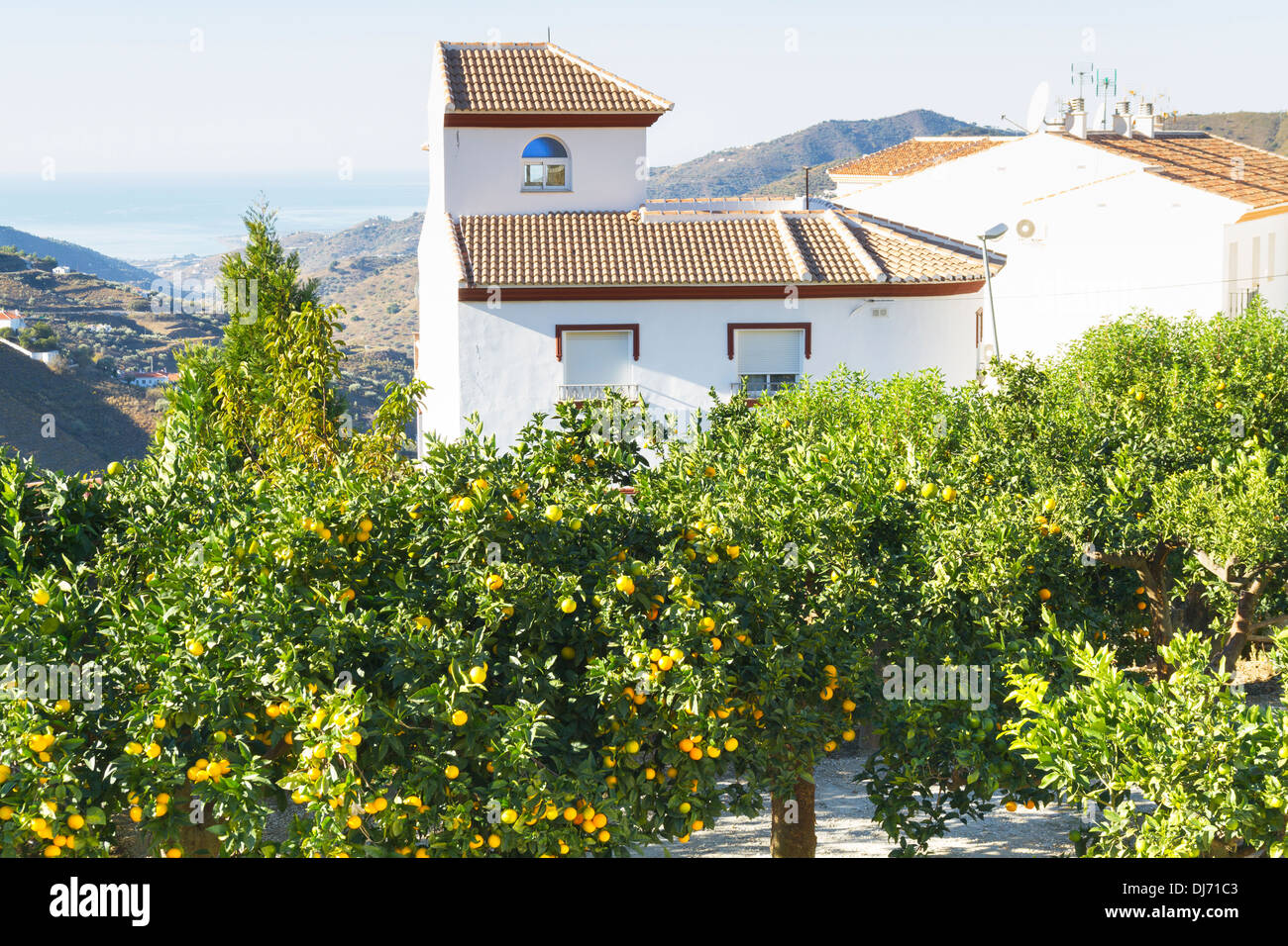 Casa spagnola circondato da alberi di arancio in Frigiliana Foto Stock