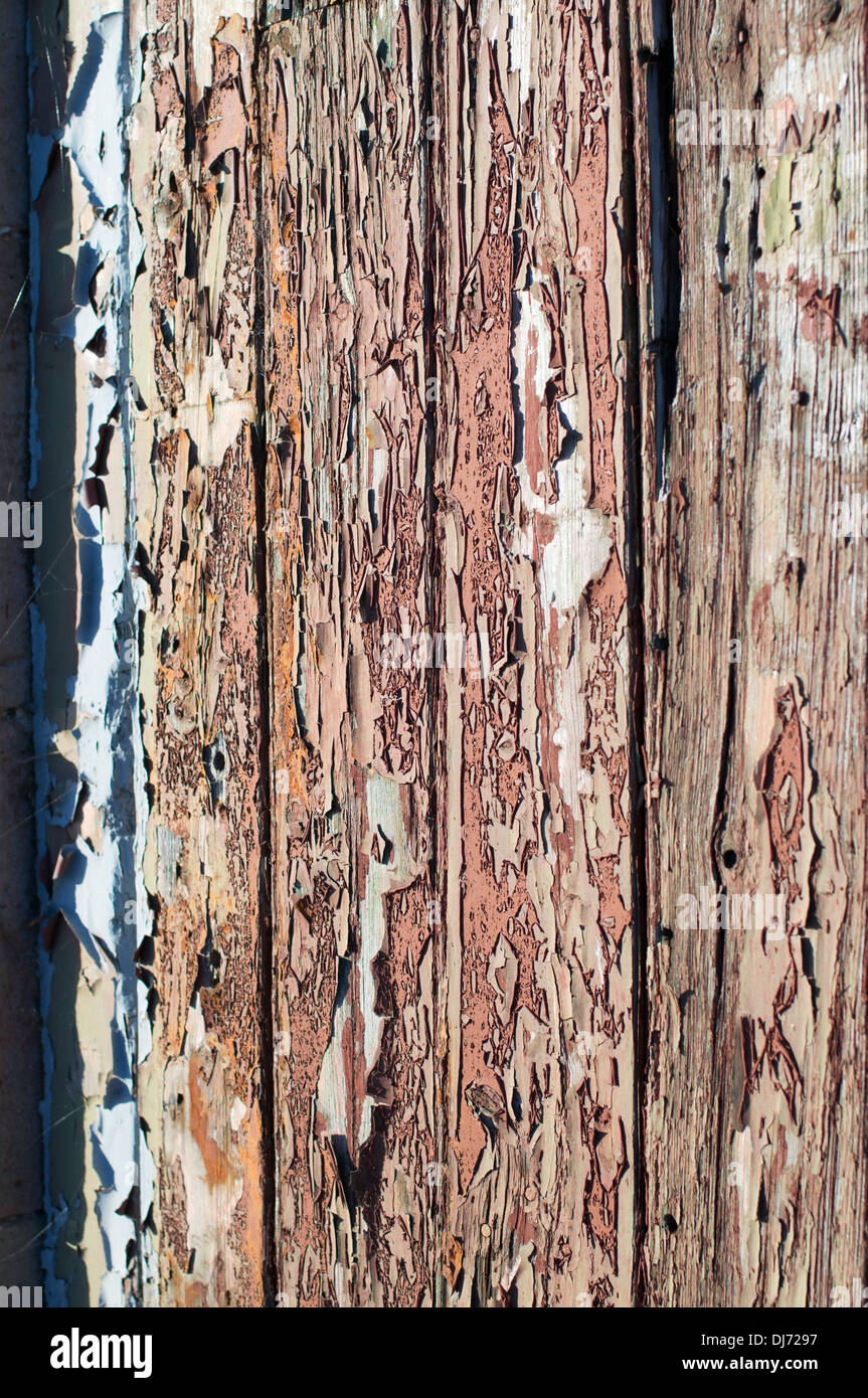 Sfaldatura e lo scolorimento della vernice sul porta in legno Foto Stock