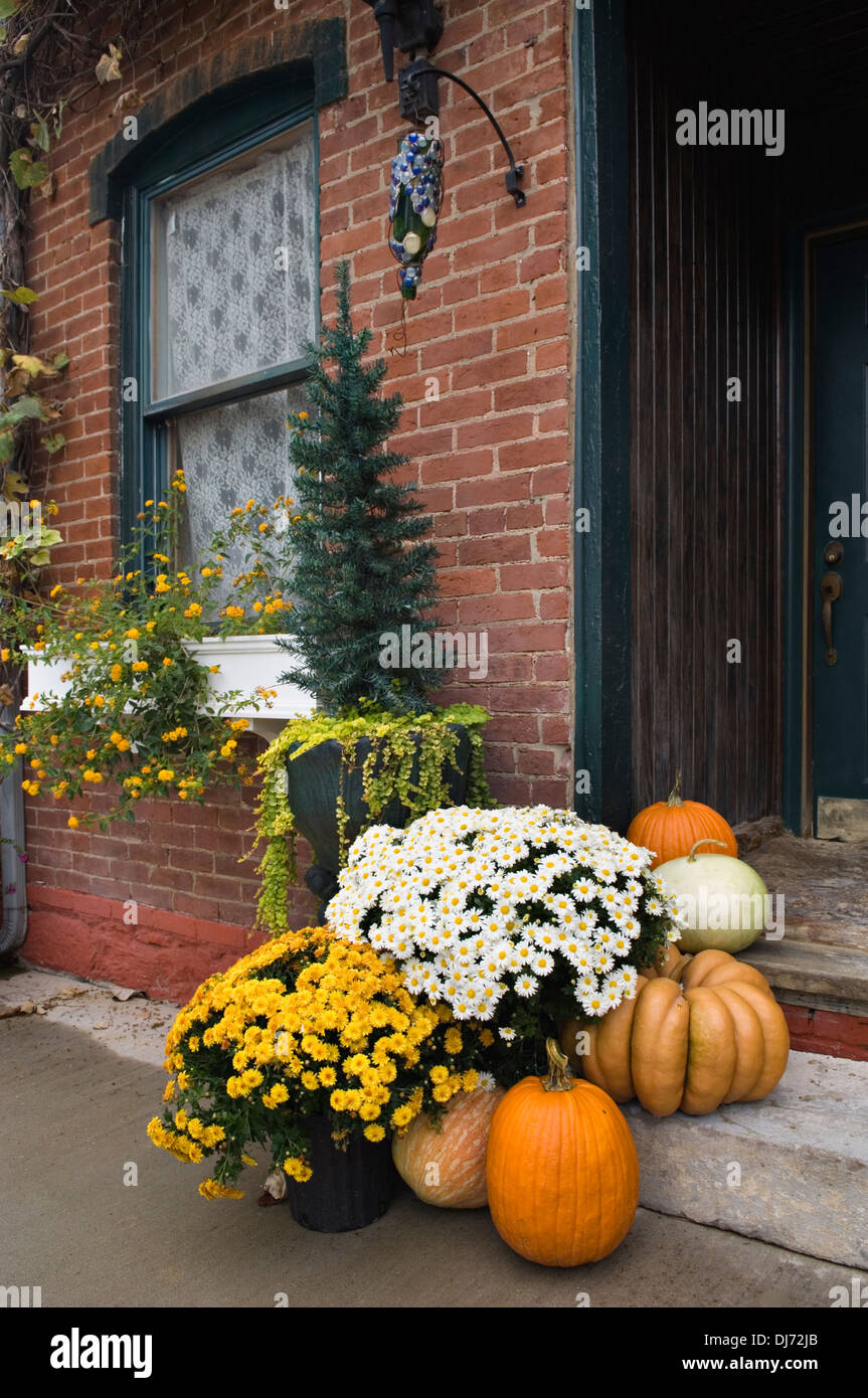 4 lanterne decorative autunnali a forma di zucca, decorazione autunnale, zucca con luce LED, luce decorativa per Halloween, lanterna luminosa a zucca, lanterna per esterni con candela a LED per