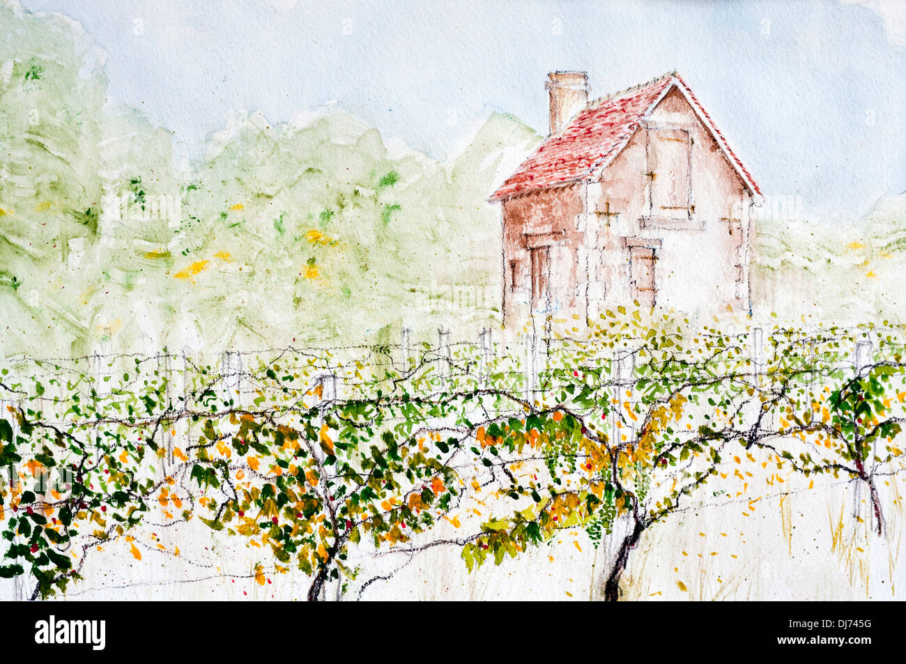 La pittura ad acquerello di 'Maison des Vignes casa nel piccolo vigneto da Ed Buziak - Francia. Foto Stock
