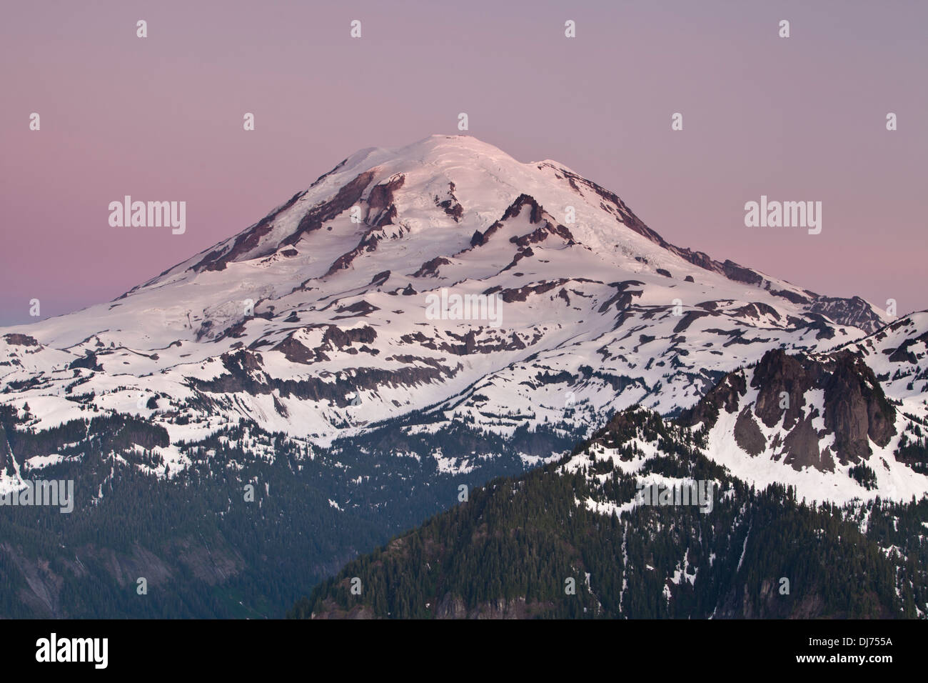 Mount Rainier prima del sorgere del sole dalla vetta del Picco Shriner, il Parco Nazionale del Monte Rainier, Washington. Foto Stock