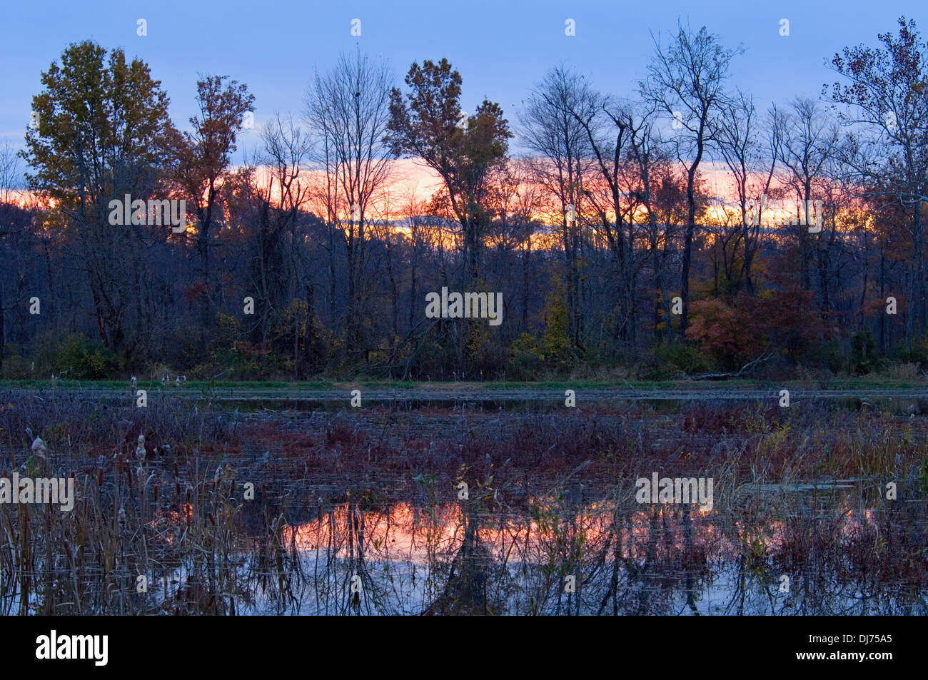 Autunno tramonto a Muscatatuck National Wildlife Refuge in Jennings County, Indiana Foto Stock