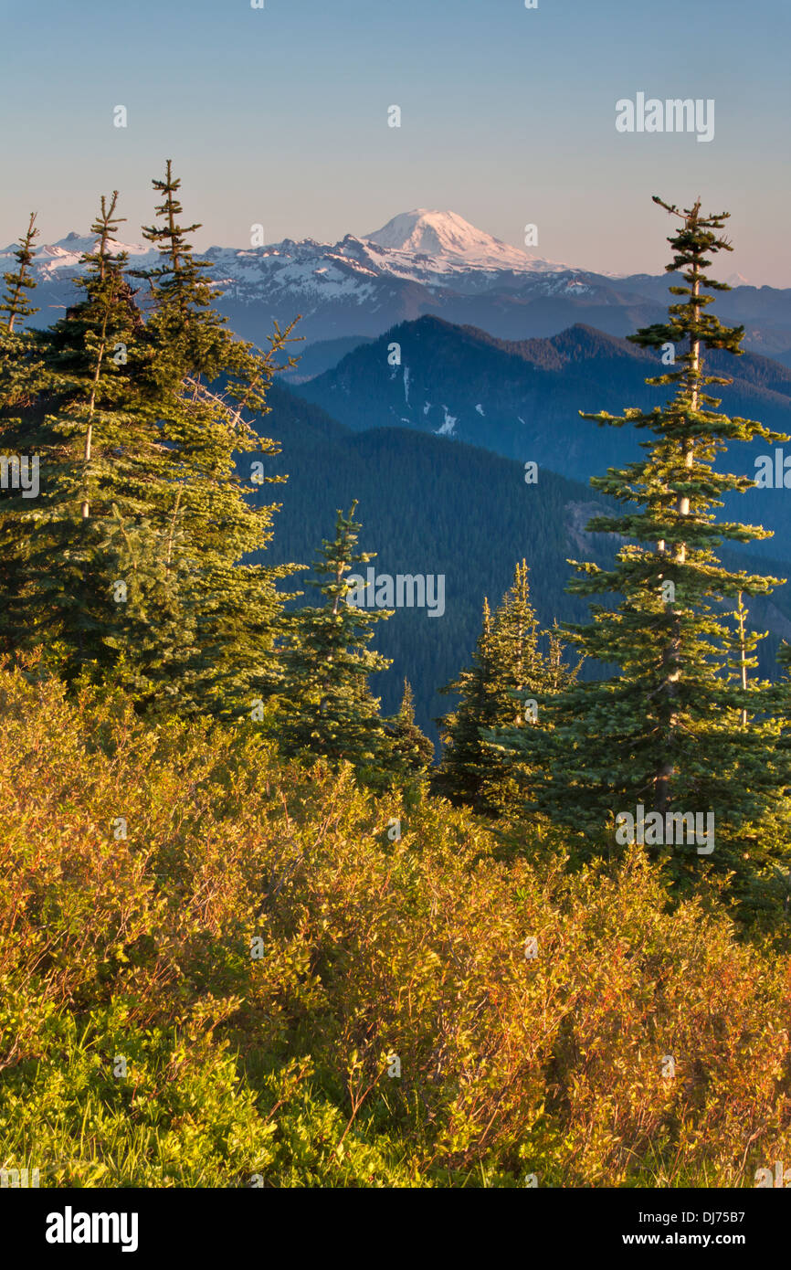Il Monte Adams incorniciato sopra prati sul picco Shriner in Mount Rainier National Park, il Monte Adams Wilderness, Washington. Foto Stock