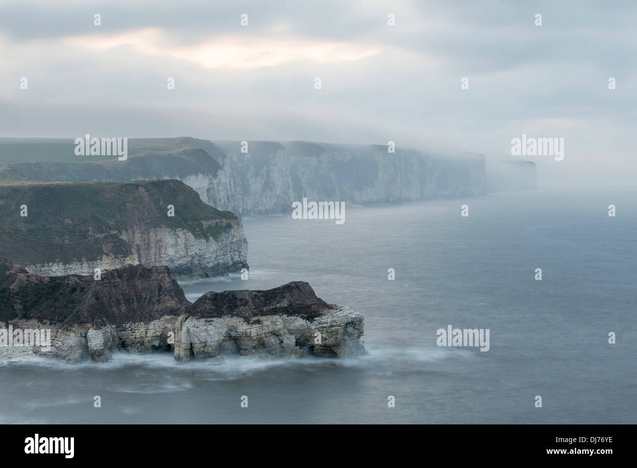 Vista verso Bempton Cliffs da Thornwick Bay, West Yorkshire. Foto Stock