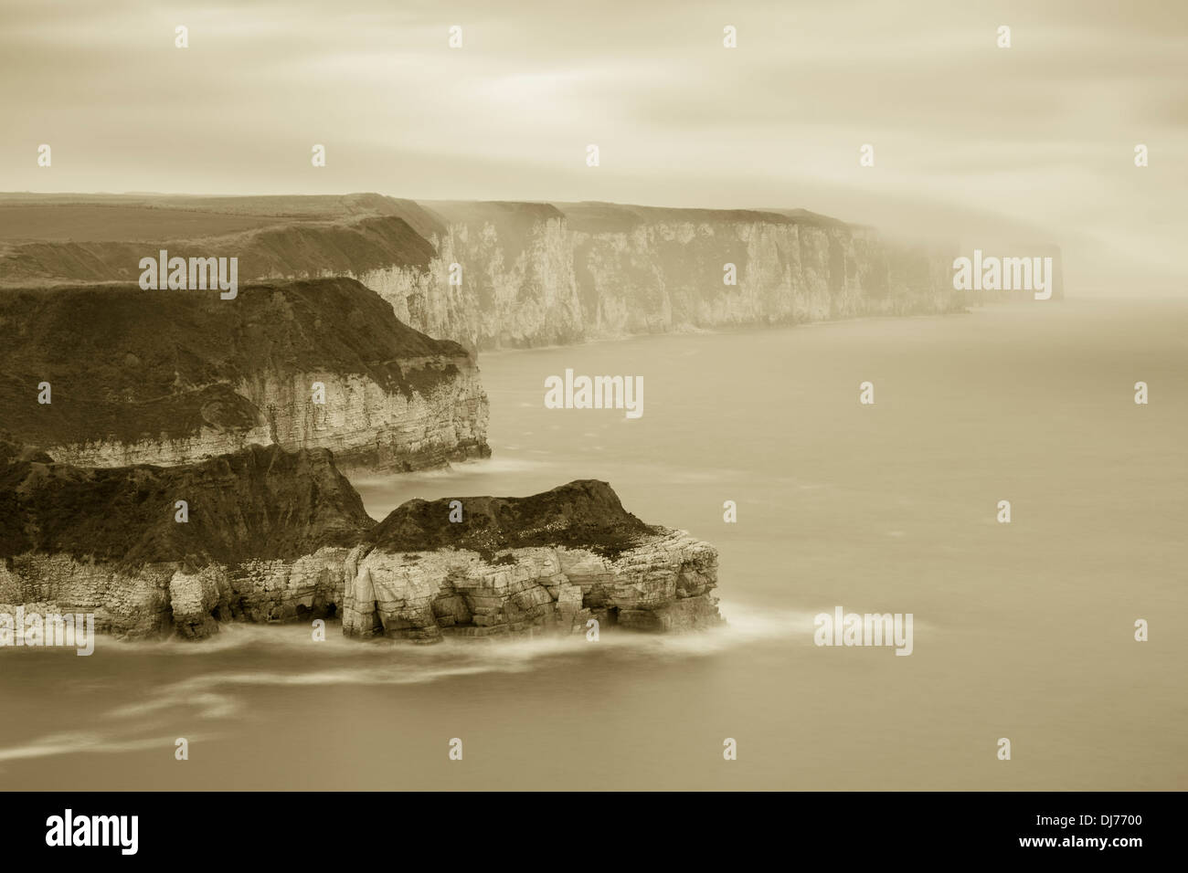 Vista verso Bempton Cliffs da Thornwick Bay, West Yorkshire. Foto Stock