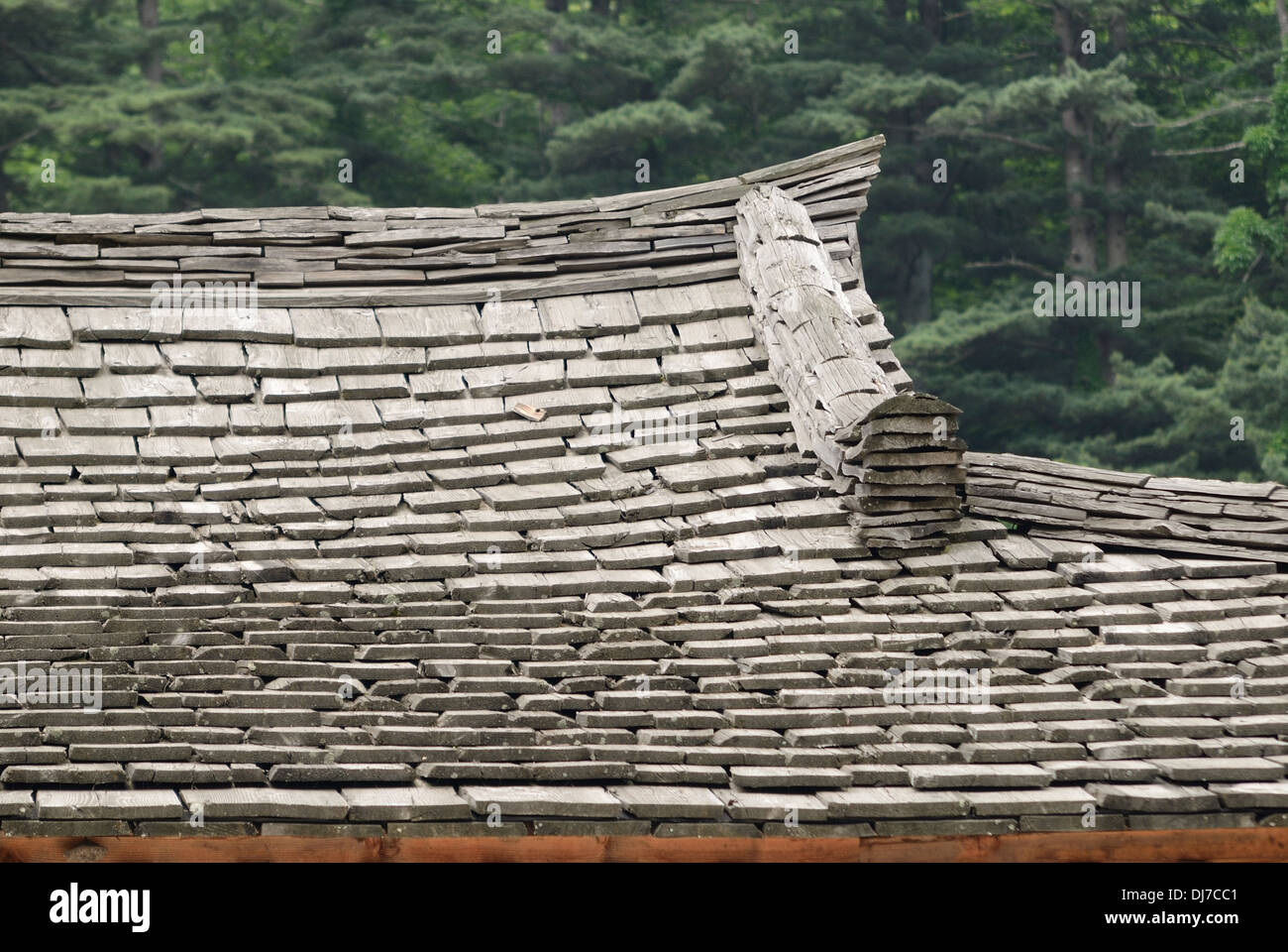 Tetto in legno Foto Stock