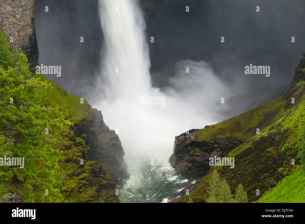 Helmcken Falls, Grey Parco Provinciale, British Columbia, Canada Foto Stock