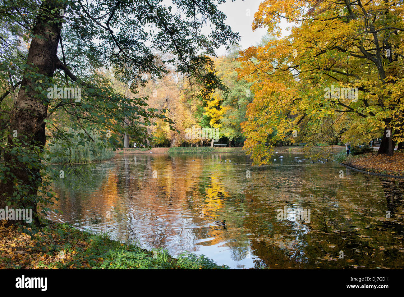 Il lago e il fogliame di autunno nella Reale Lazienki Park (Polacco: Lazienki Krolewskie, Parco Lazienkowski), la città di Varsavia, Polonia. Foto Stock