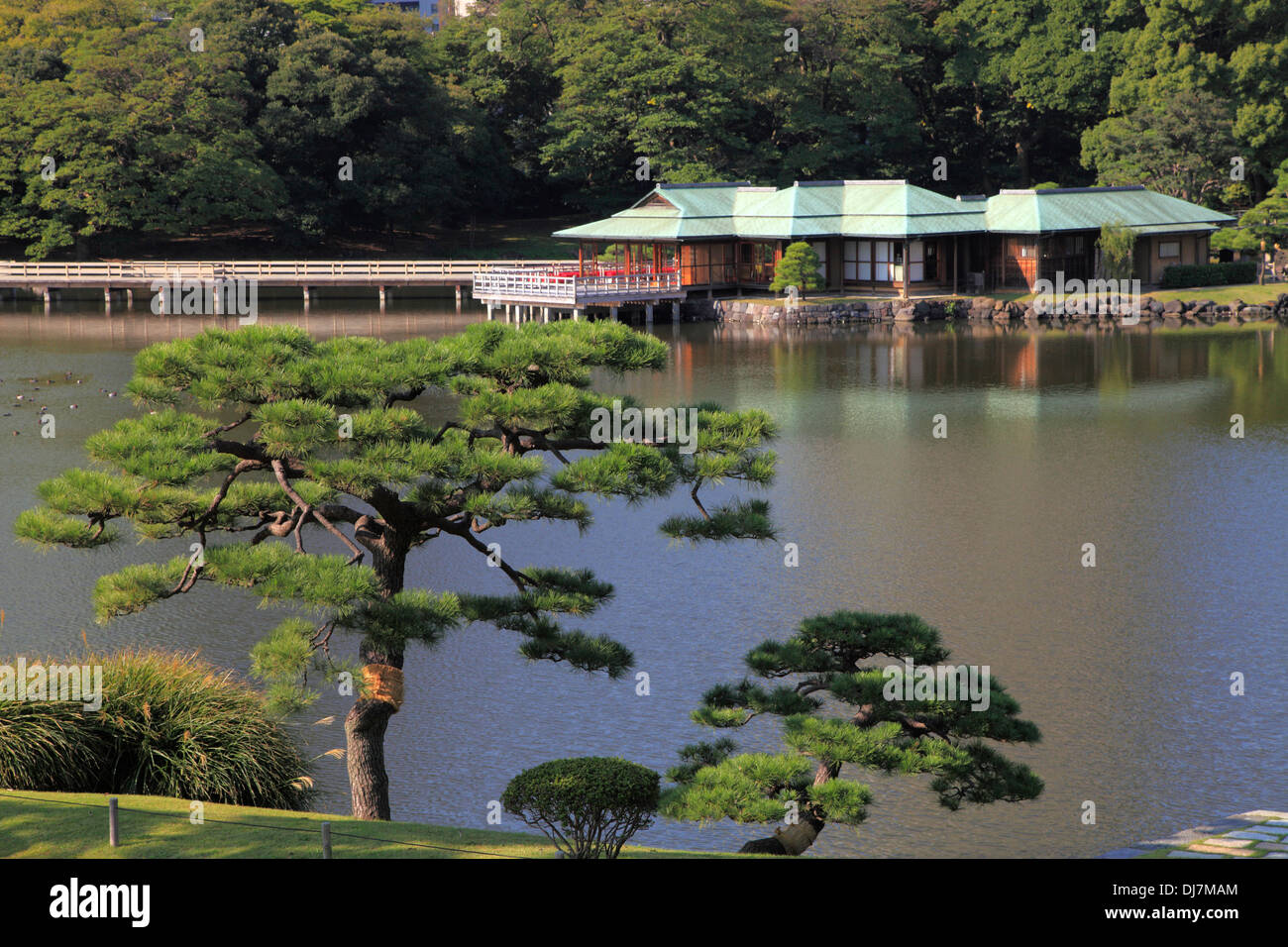 Giappone, Tokyo, Hama-rikyu Gardens, Foto Stock