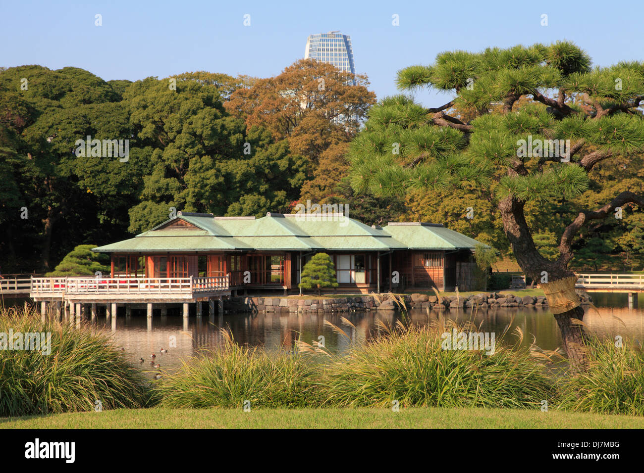 Giappone, Tokyo, Hama-rikyu Gardens, Foto Stock