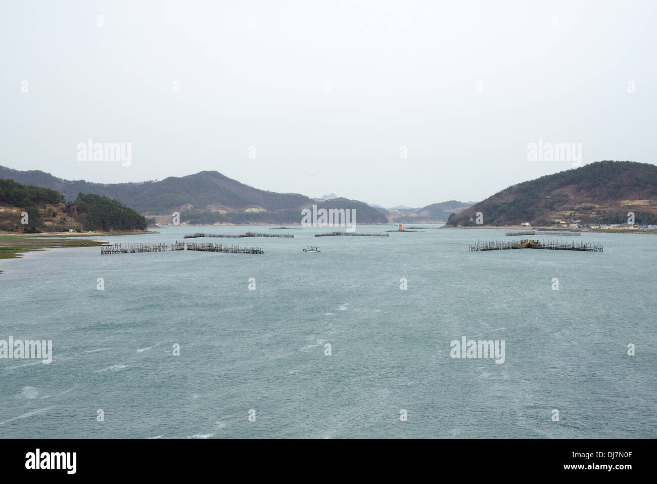 Il coreano metodo tradizionale per la pesca di acciughe dal flusso di acqua di mare Foto Stock