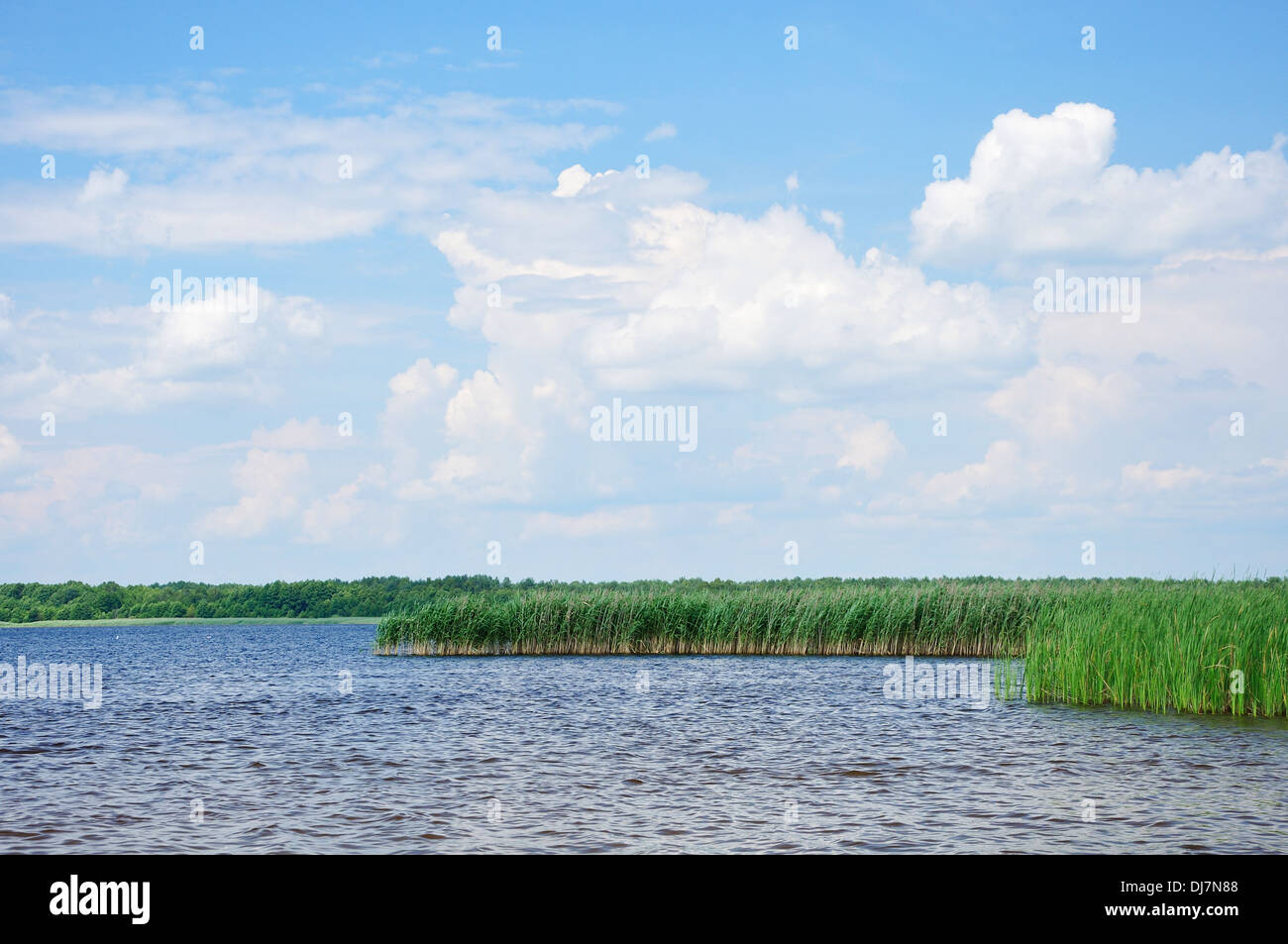 Blue sky con soffici nuvole sopra il lago con ance Foto Stock