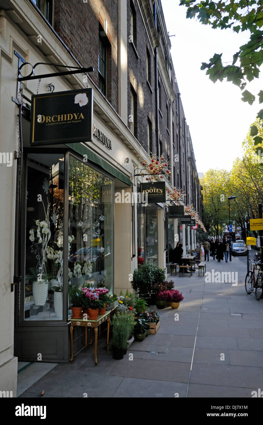 Store Street in luce invernale, Bloomsbury Londra Inghilterra REGNO UNITO Foto Stock