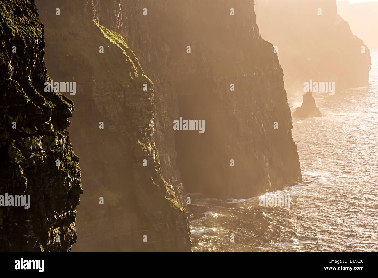 Scogliere di Moher, Co. Clare, costa ovest dell Irlanda Foto Stock