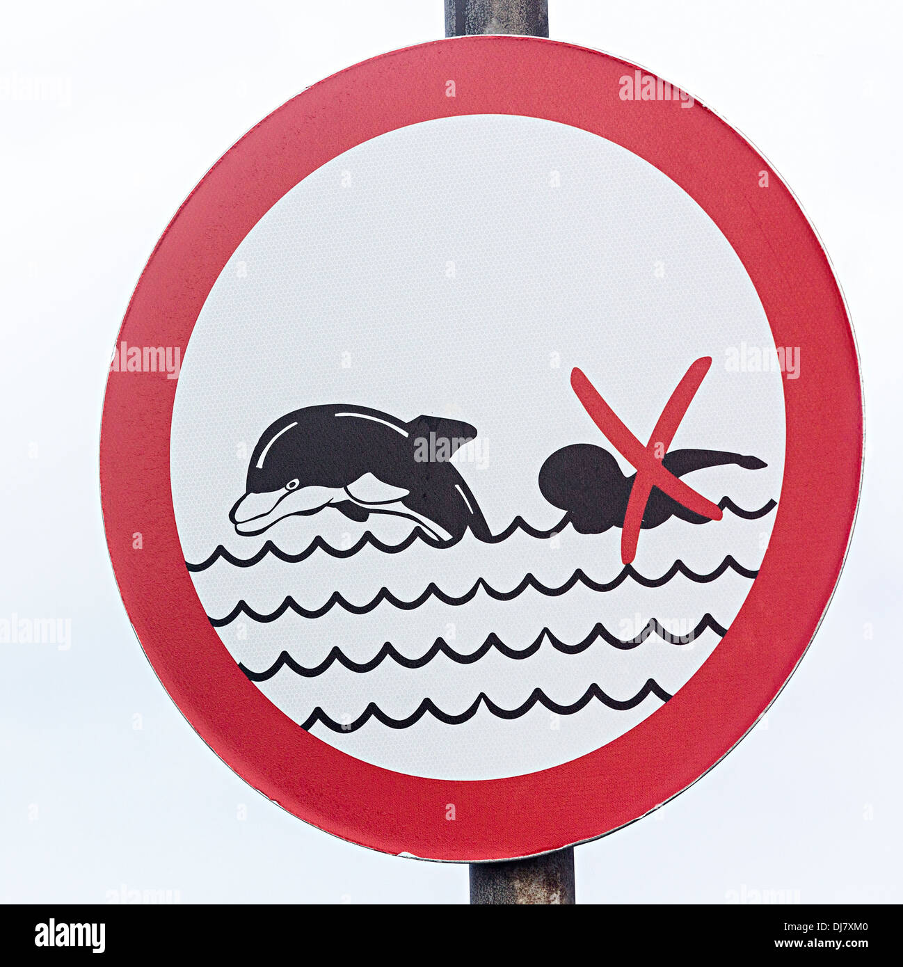 Non si può nuotare con i delfini, segno Doolin, Co. Clare, Irlanda Foto Stock