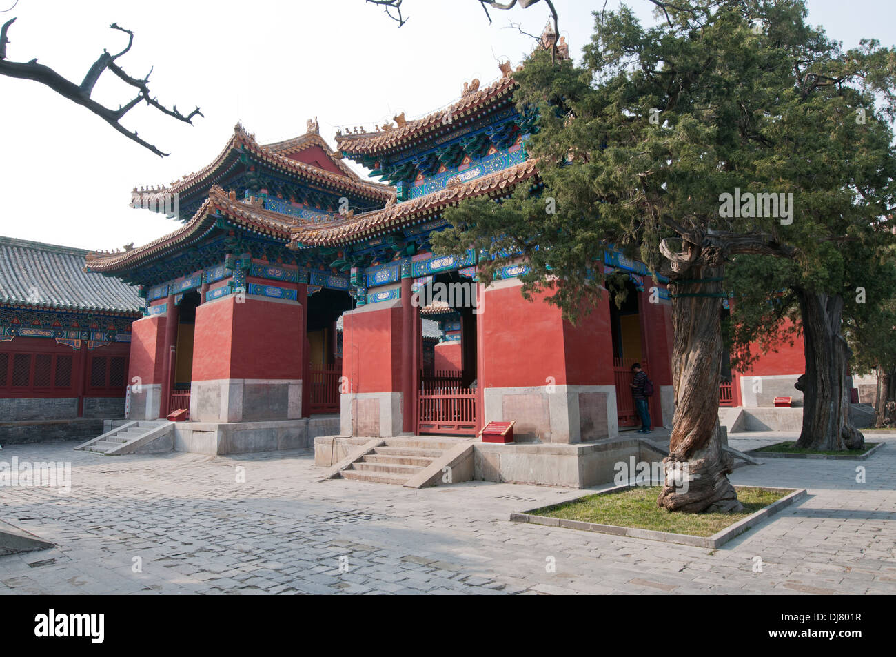 Lapide padiglioni del Tempio di Confucio al Guozijian Street a Pechino in Cina Foto Stock