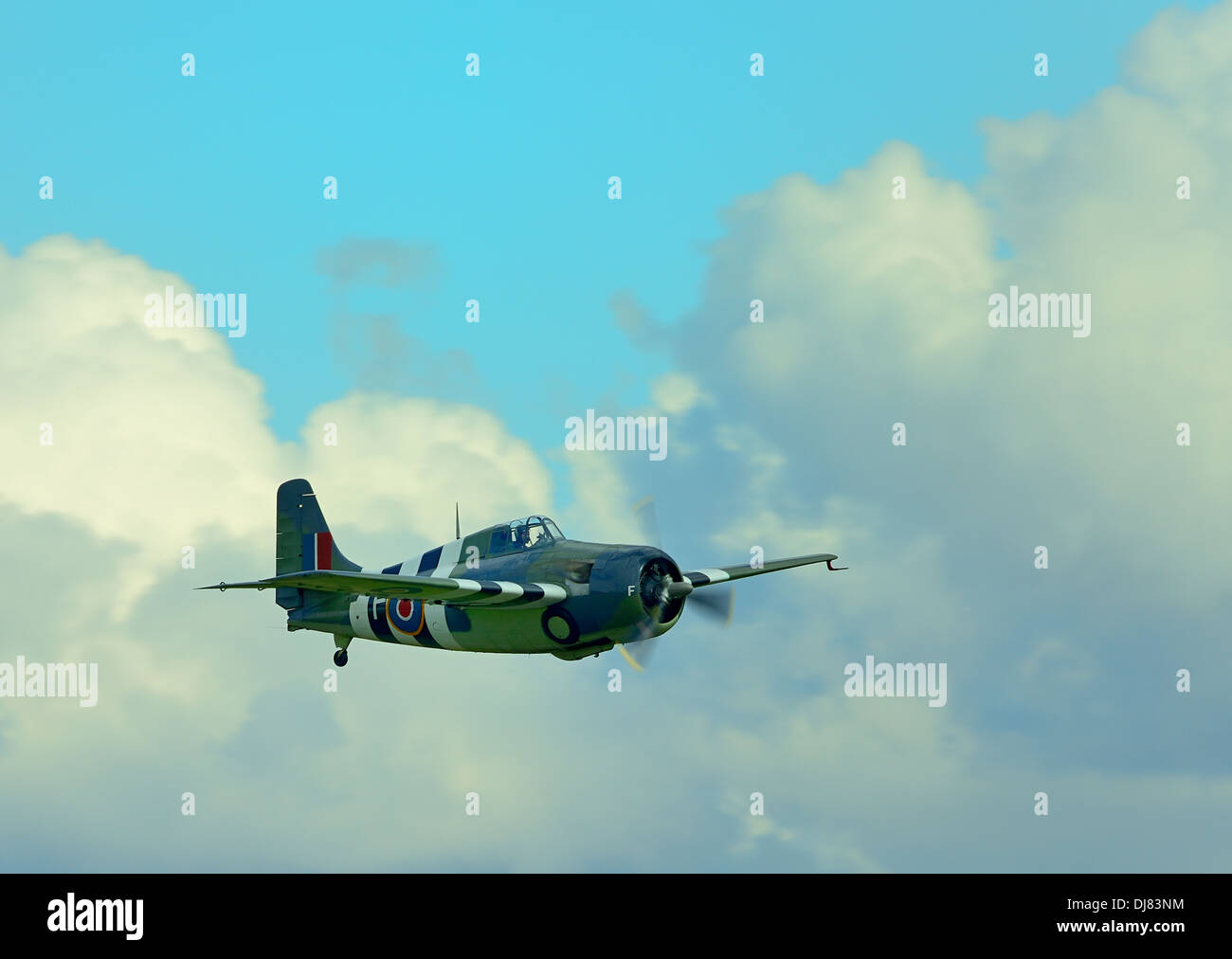 Gruman FM-2 Wildcat,WW2 aereo da combattimento con la Royal Navy iscrizioni di volare a Duxford Air show .UK, 2013 Foto Stock