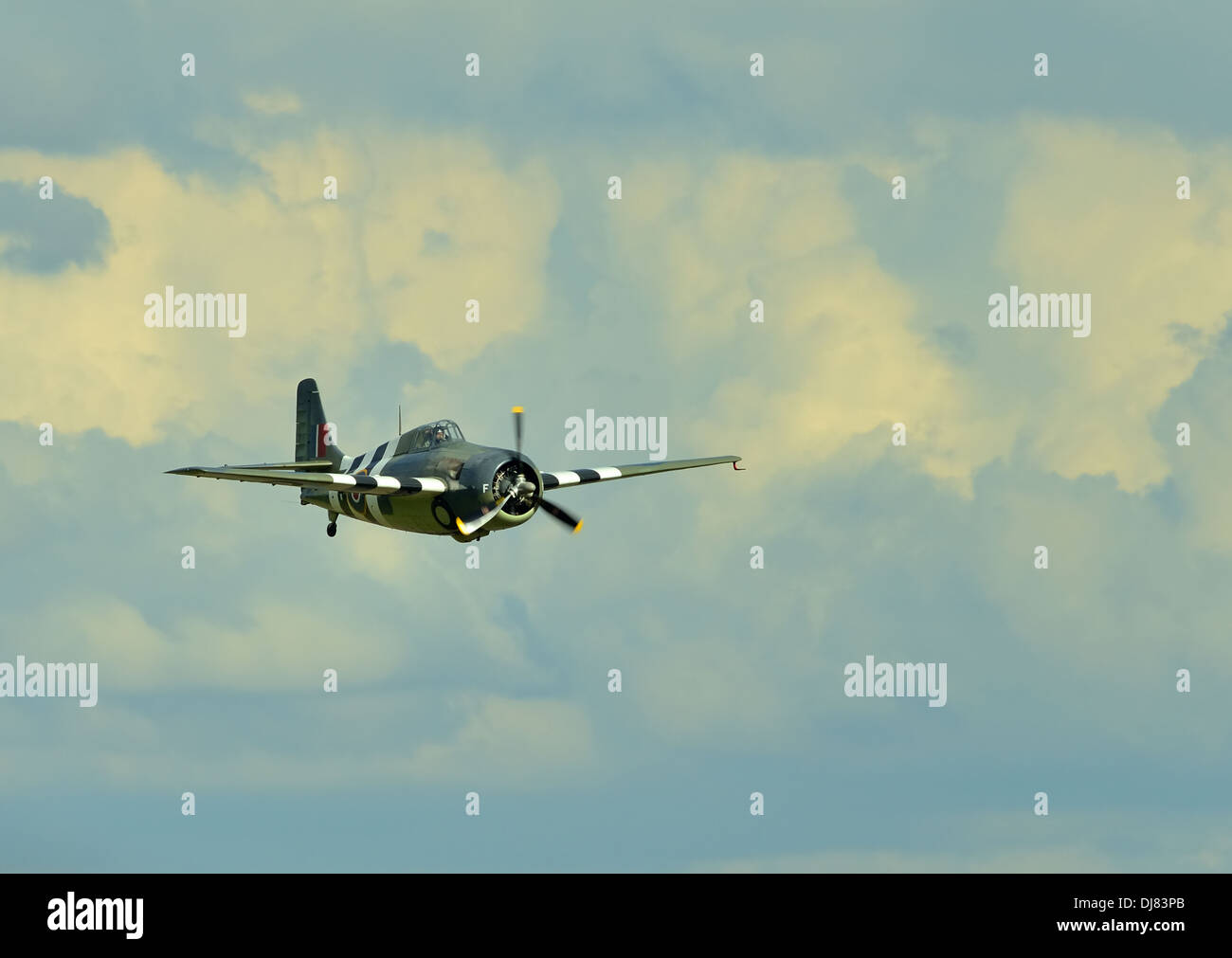 Gruman FM-2 Wildcat,WW2 aereo da combattimento con la Royal Navy iscrizioni di volare a Duxford Air show .UK, 2013 Foto Stock