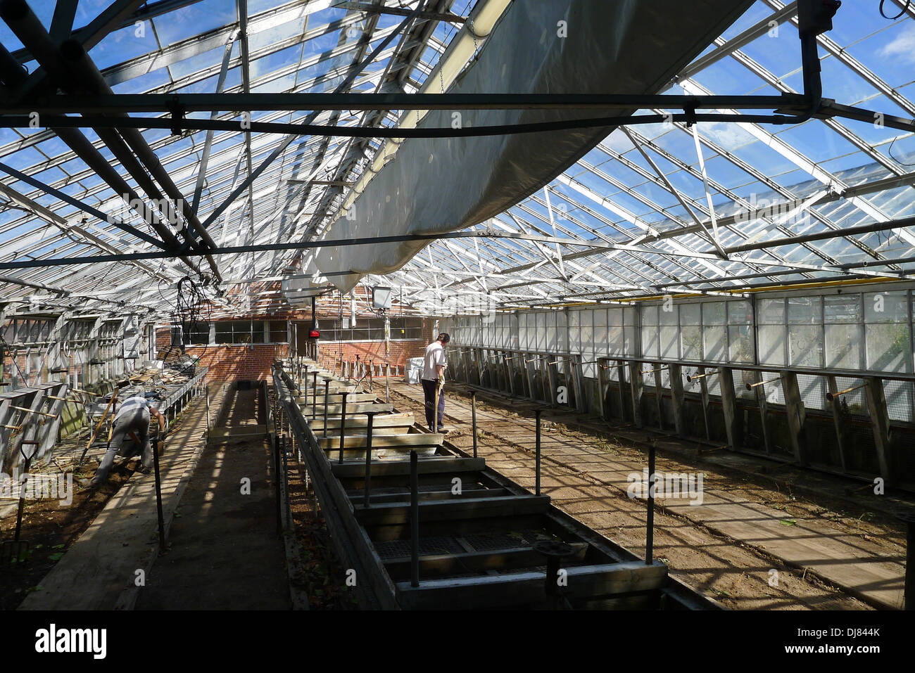 Un grande vuoto serra commerciale che è sul punto di subire la riparazione e restauro. Foto Stock