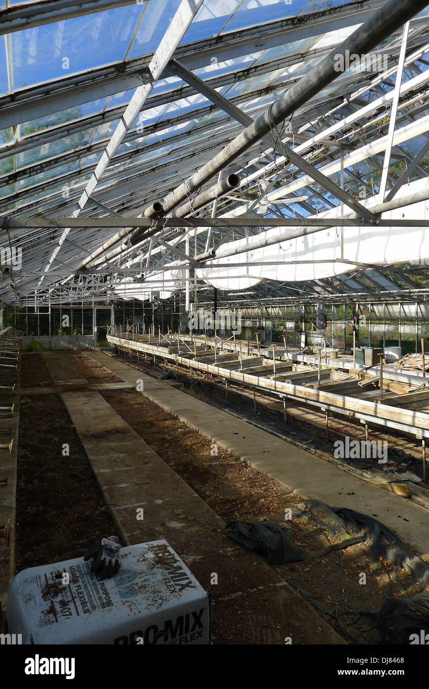 Un grande vuoto serra commerciale che è sul punto di subire la riparazione e restauro. Foto Stock