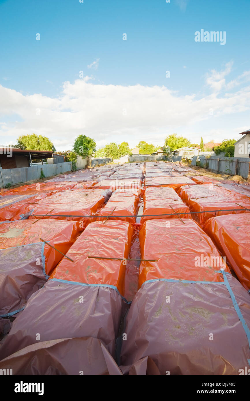 La preparazione del sito per la fondazione della casa Foto Stock