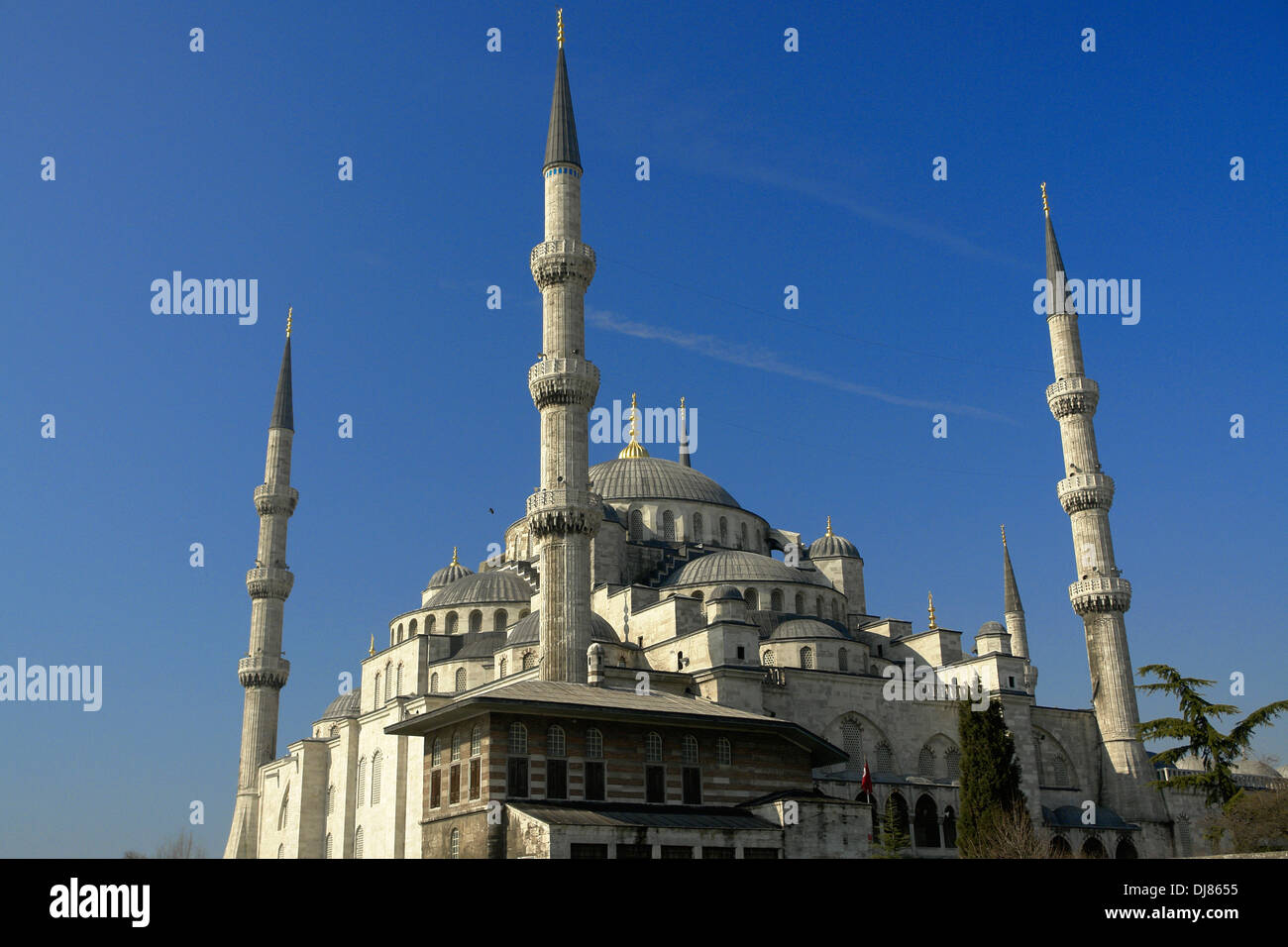 La Moschea Suleymanie (Moschea Blu) Istanbul, Turchia Foto Stock